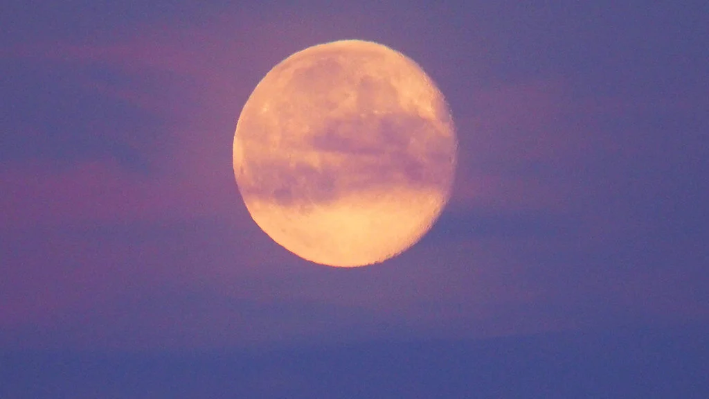 Pink Moon Gathering