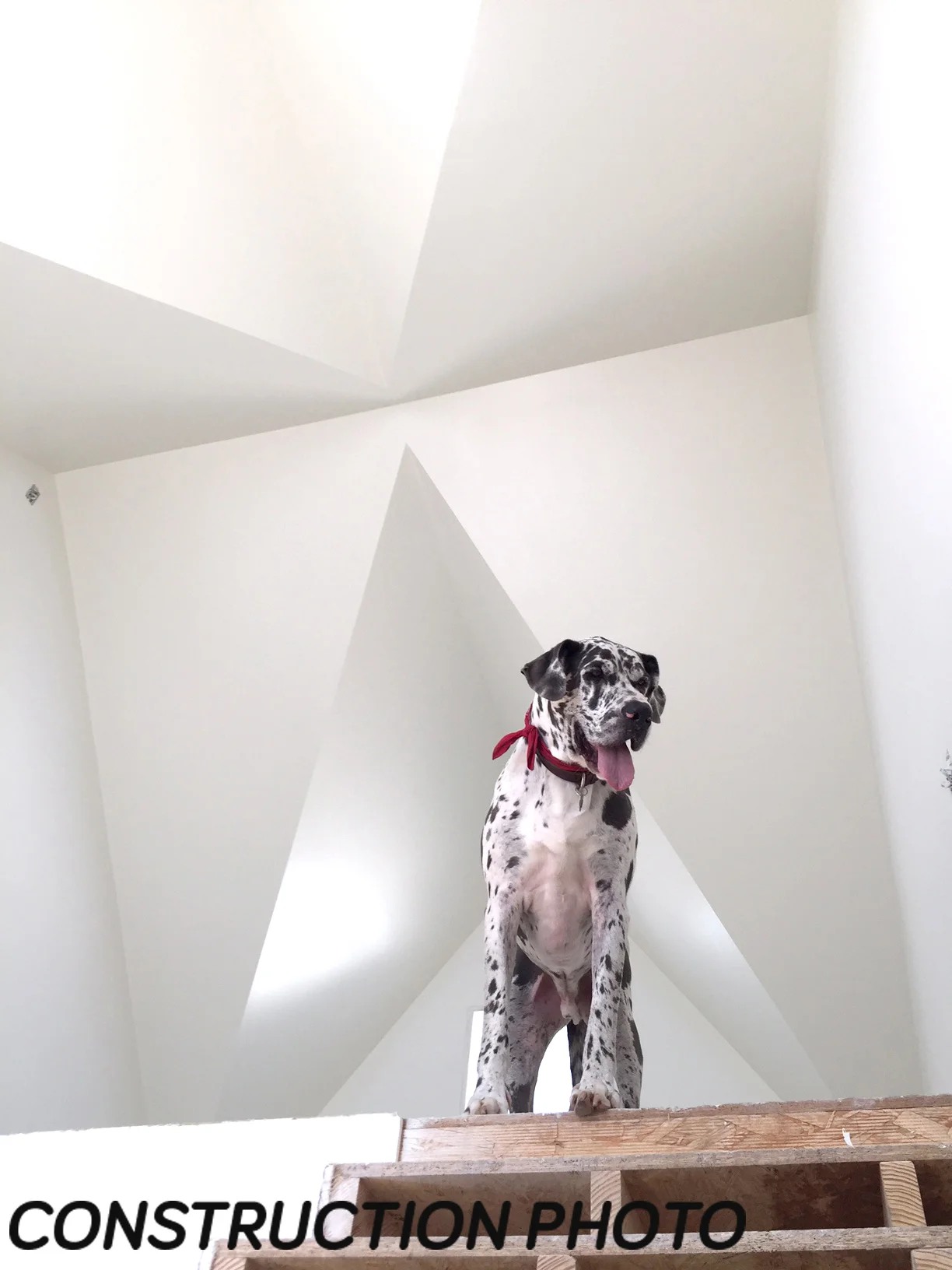 New Ceilingscape copy.jpg