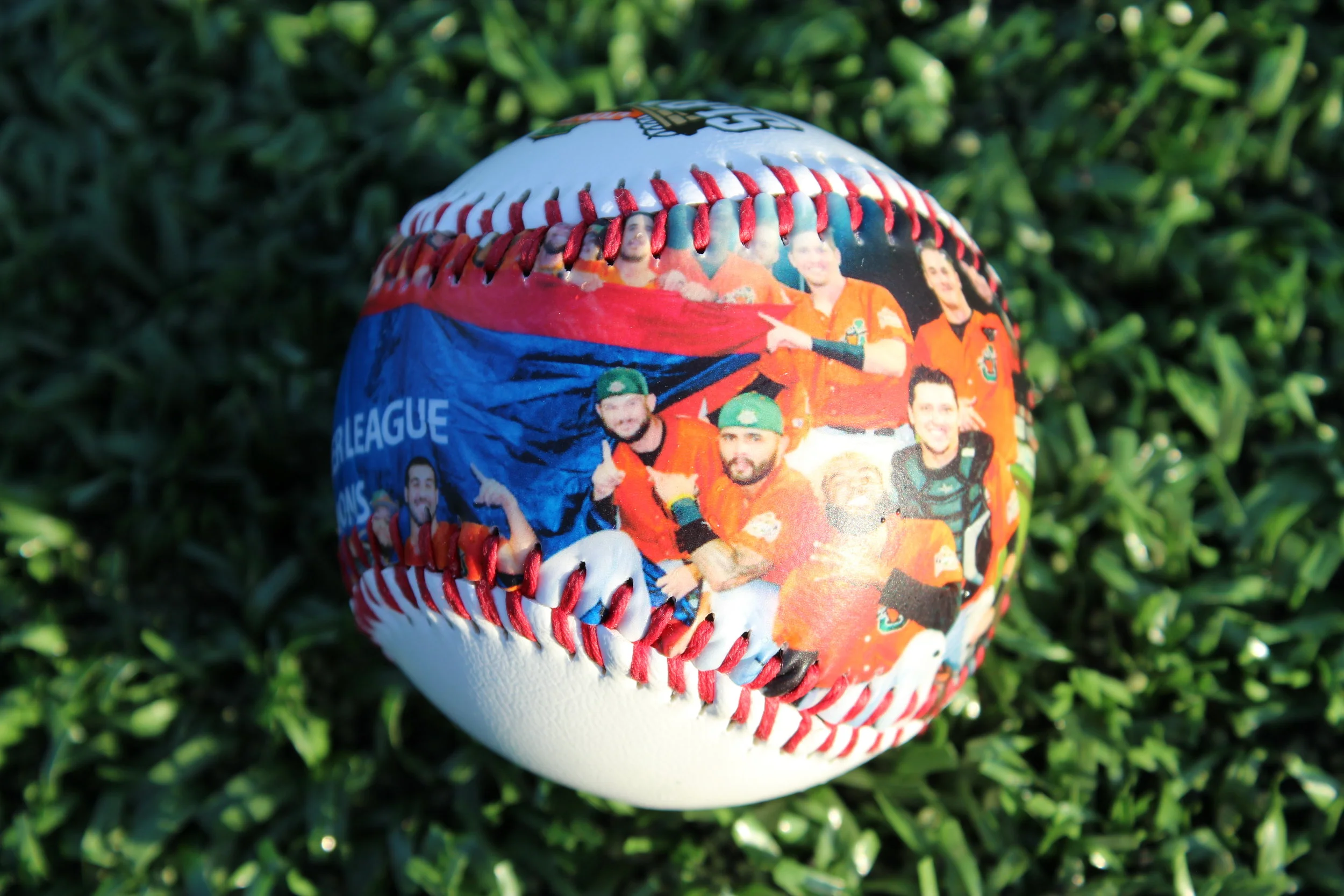 Novelties — Joliet Slammers Online Store