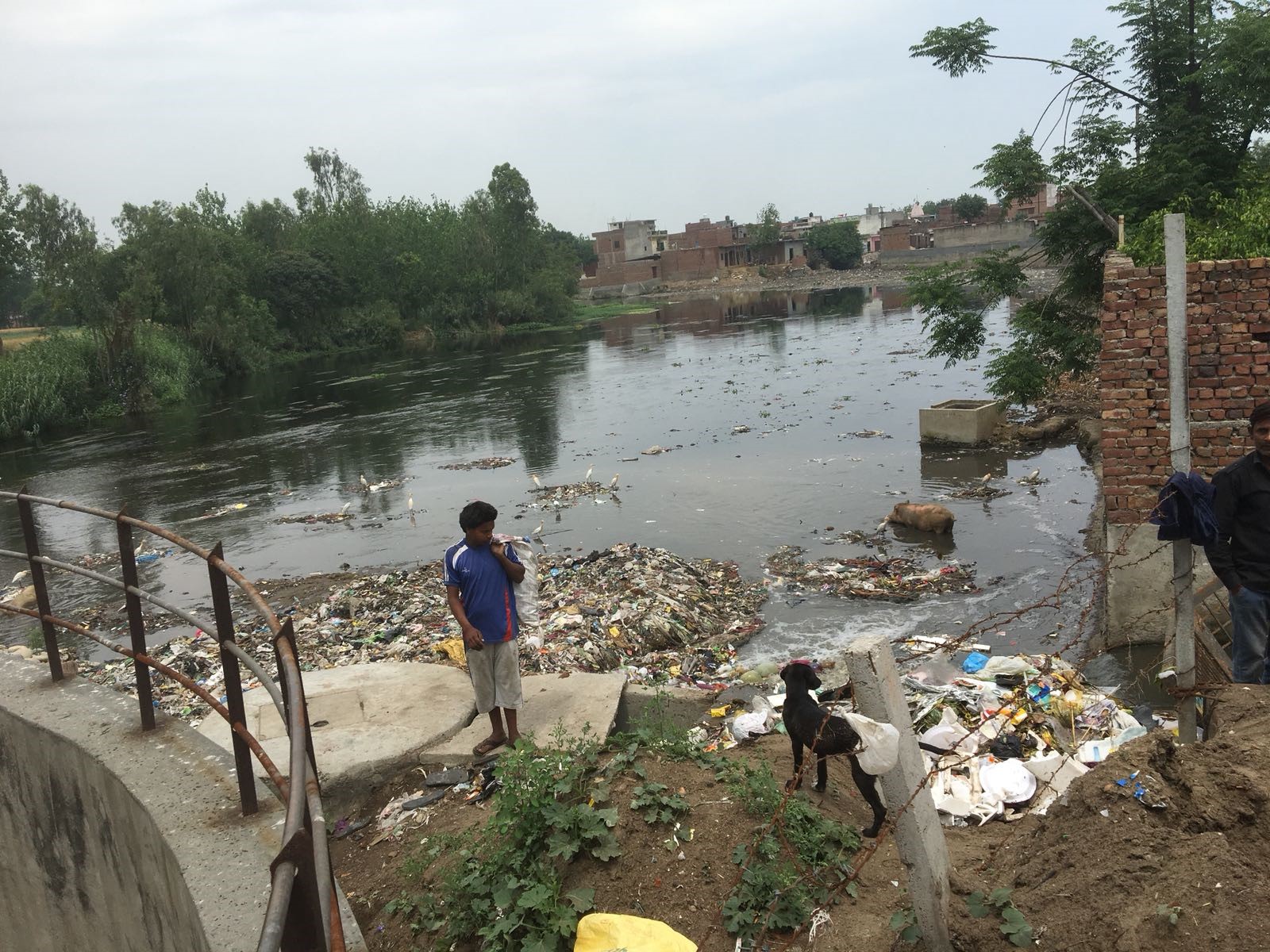 India afval rivier.jpg