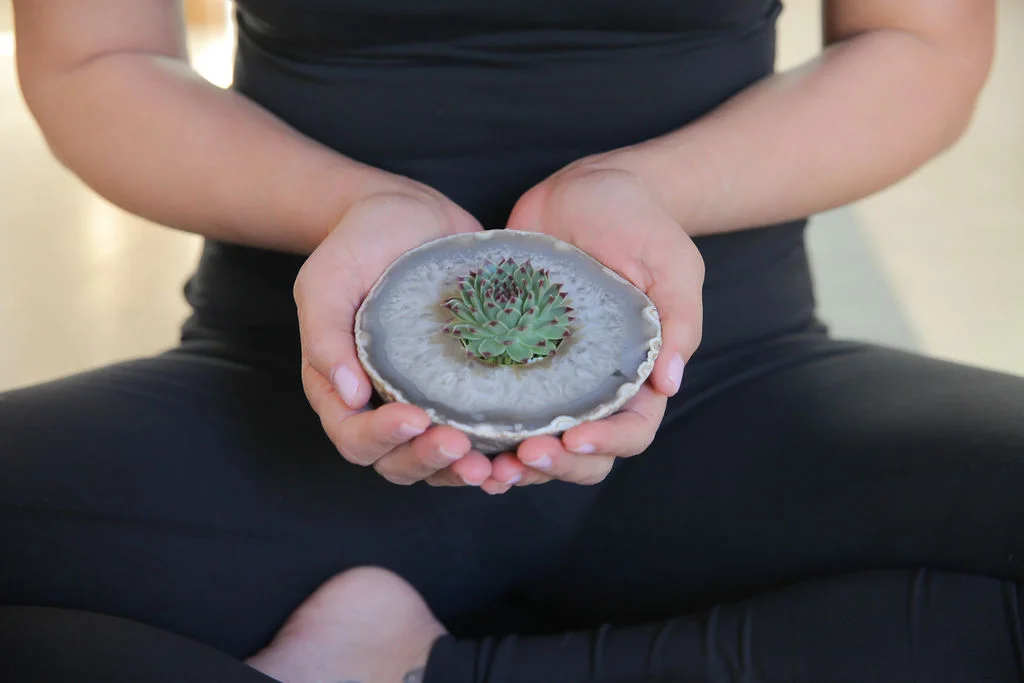 Infinite Succulent agate slice 1.jpg