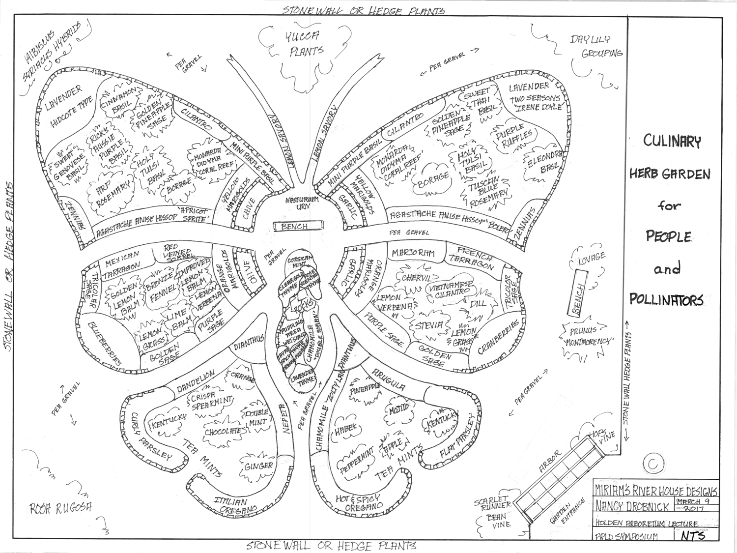 Culinary-Herb-Garden-for-People-&-Pollinators.png