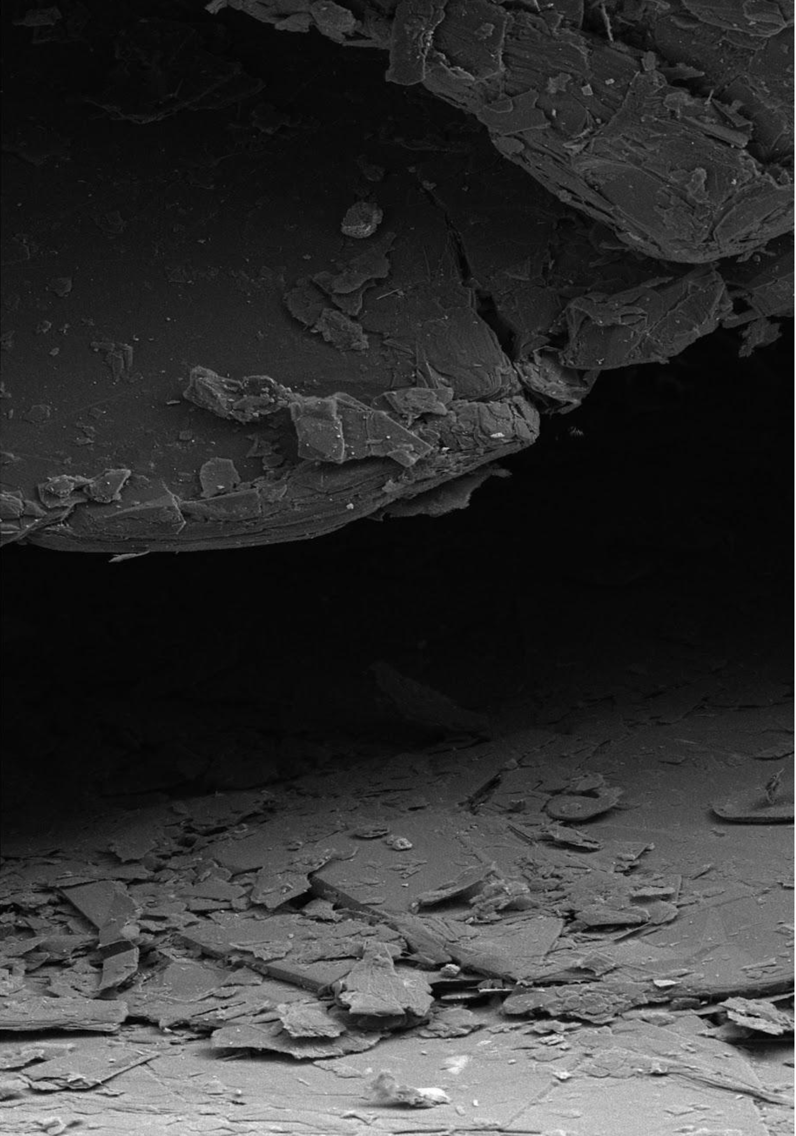 SEM-microscopy image from "Peradam" 2018