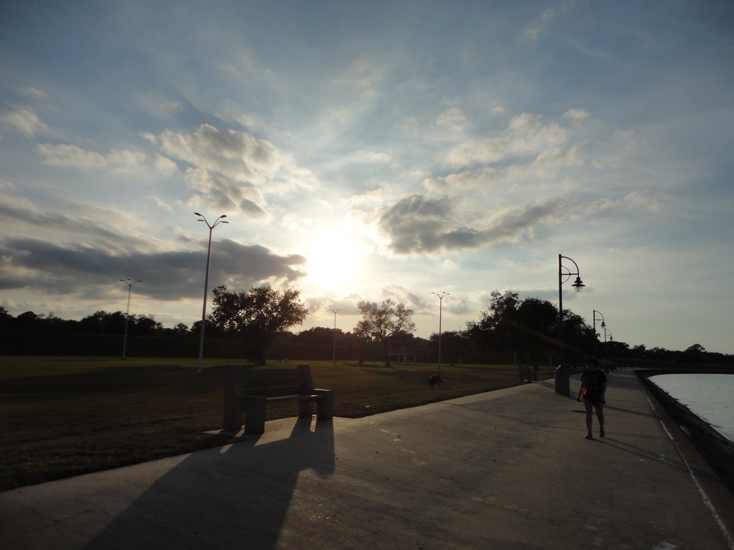 Rediscovering the Joy of a Real Camera