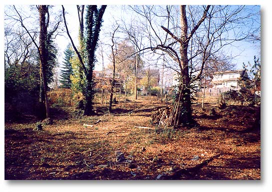   “The Woods” in the process of clearing and clean-up, 1994-1998.  