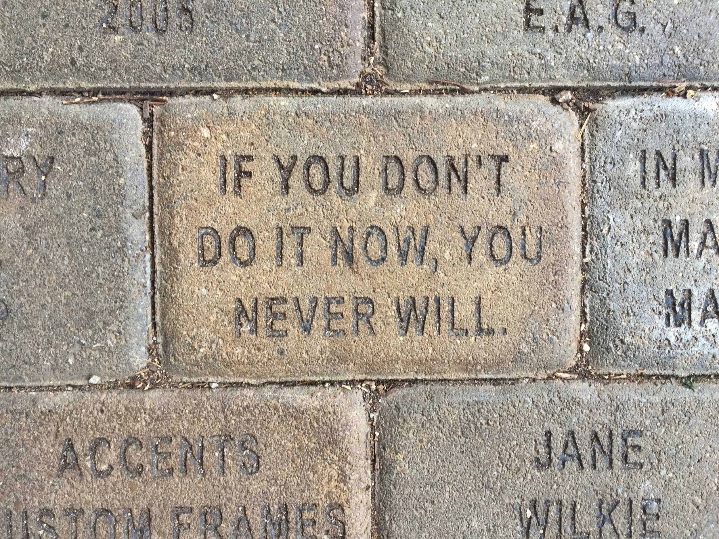 image35.jpg