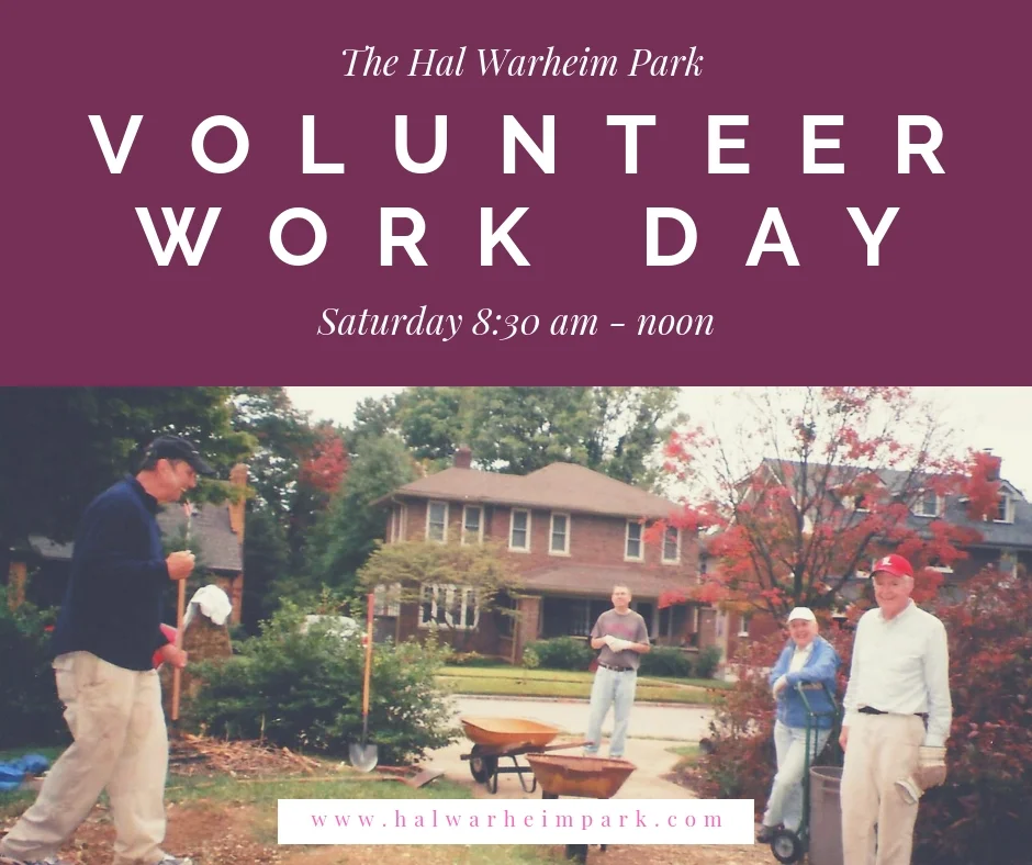 volunteer work day.jpg