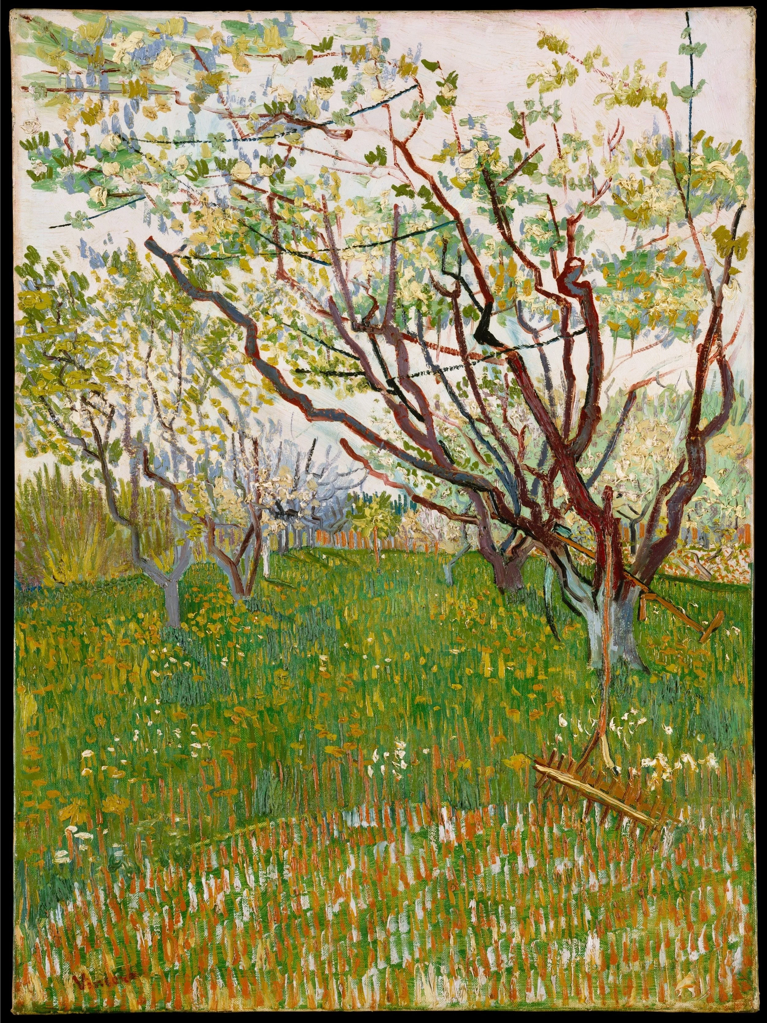 Van Gogh The Flowering Orchard 1888.jpg