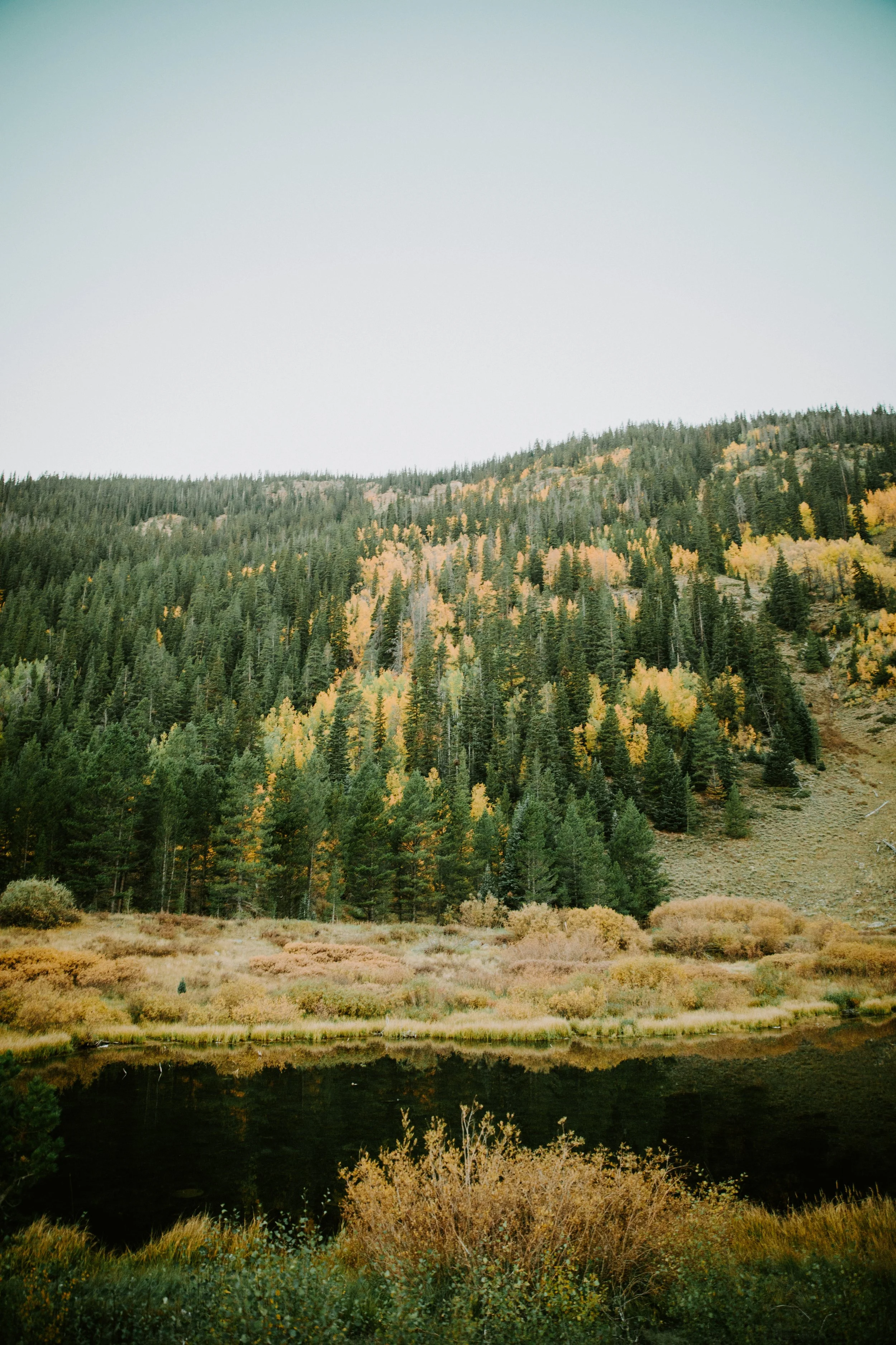 FALL.The.Stillhouse-16.jpg
