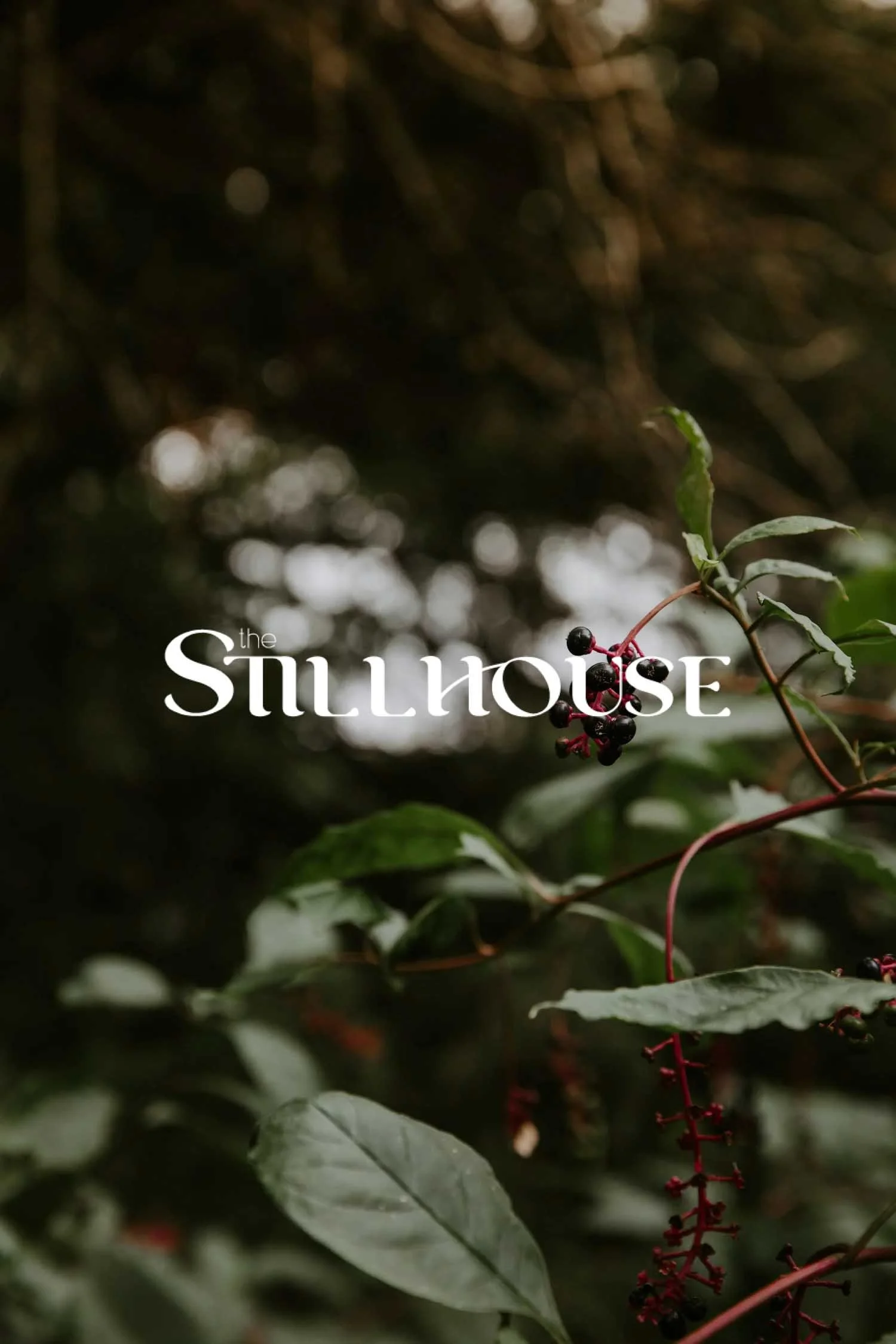 TheStillhouse-70.jpg