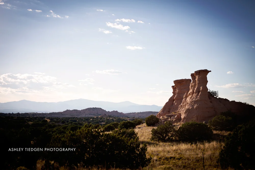 Road Trip to the Land of Green Chili