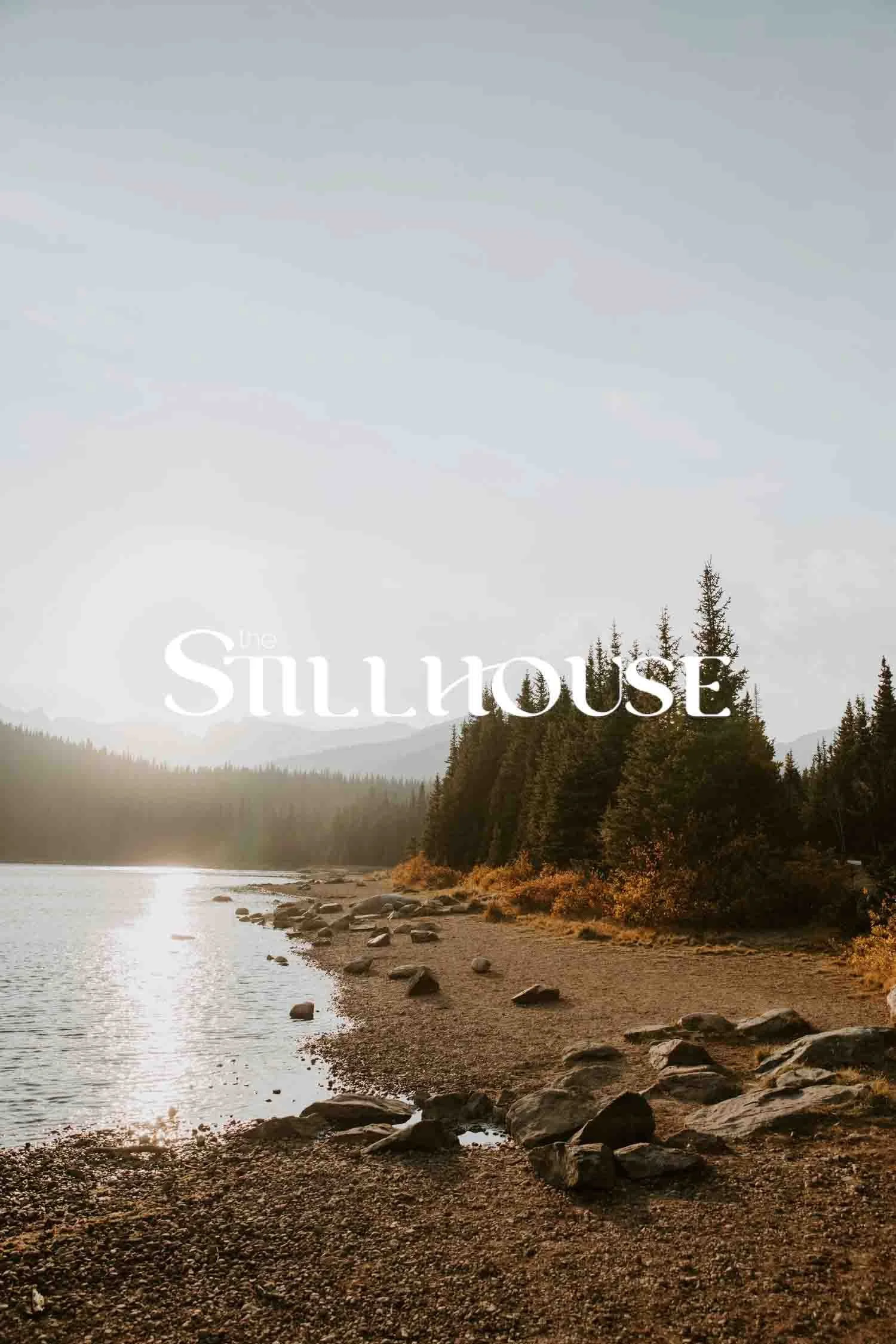 TheStillhouse-27.jpg