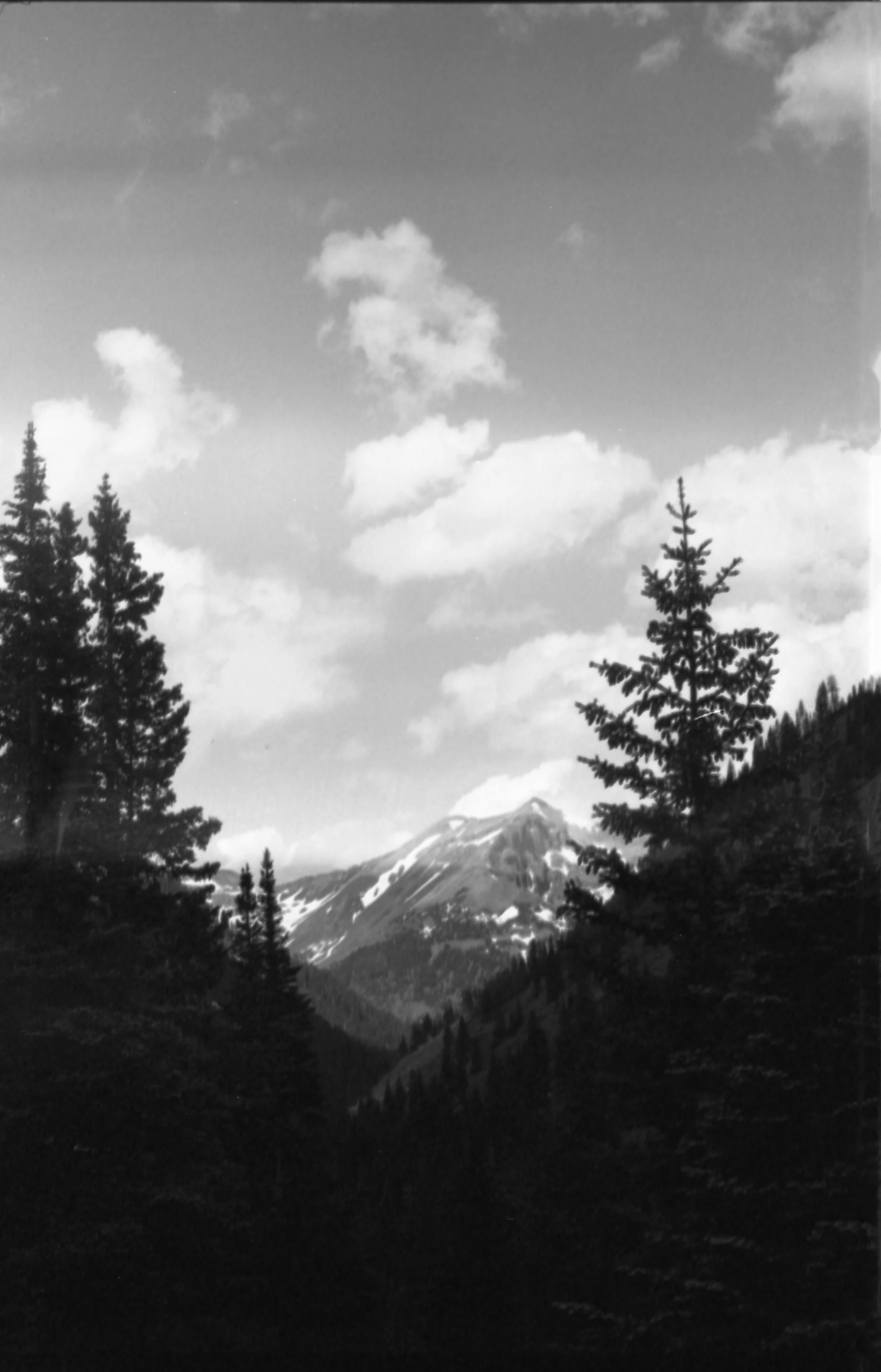 BLACKANDWHITE.The.Stillhouse-2.jpg