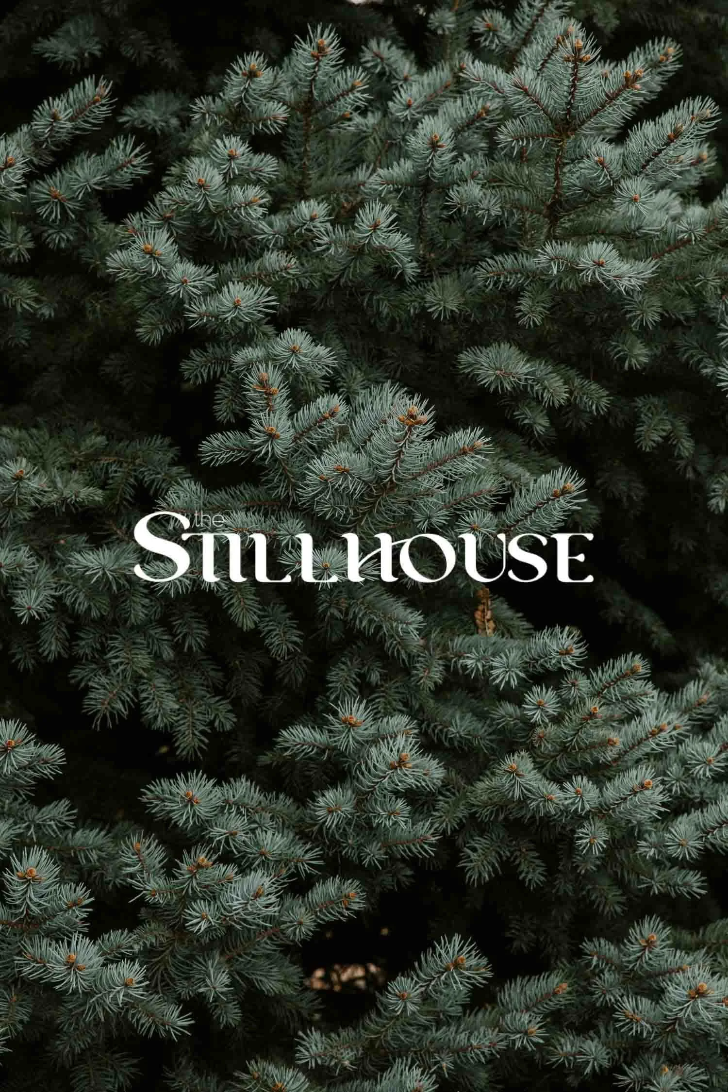 TheStillhouse-63.jpg
