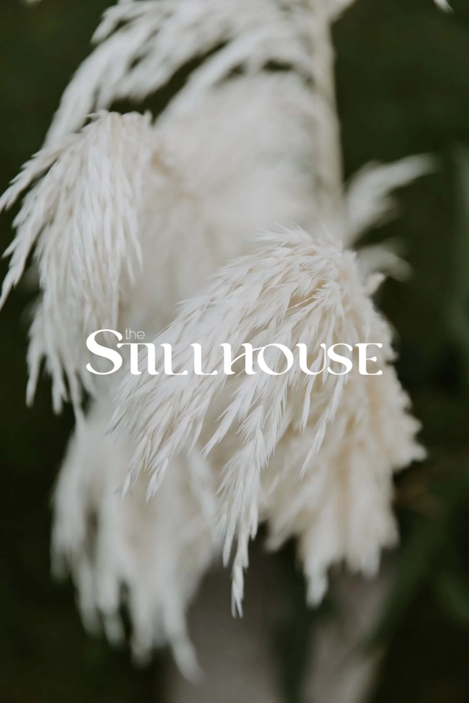 TheStillhouse-8.jpg