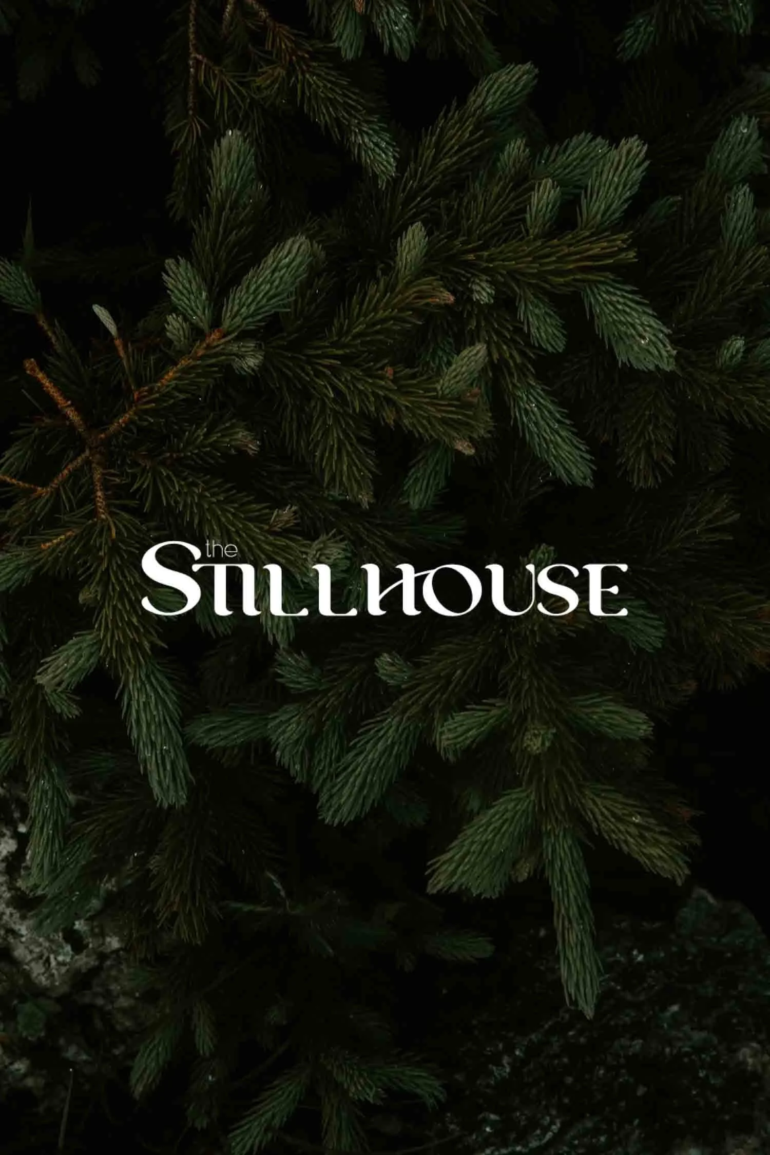 TheStillhouse-61.jpg