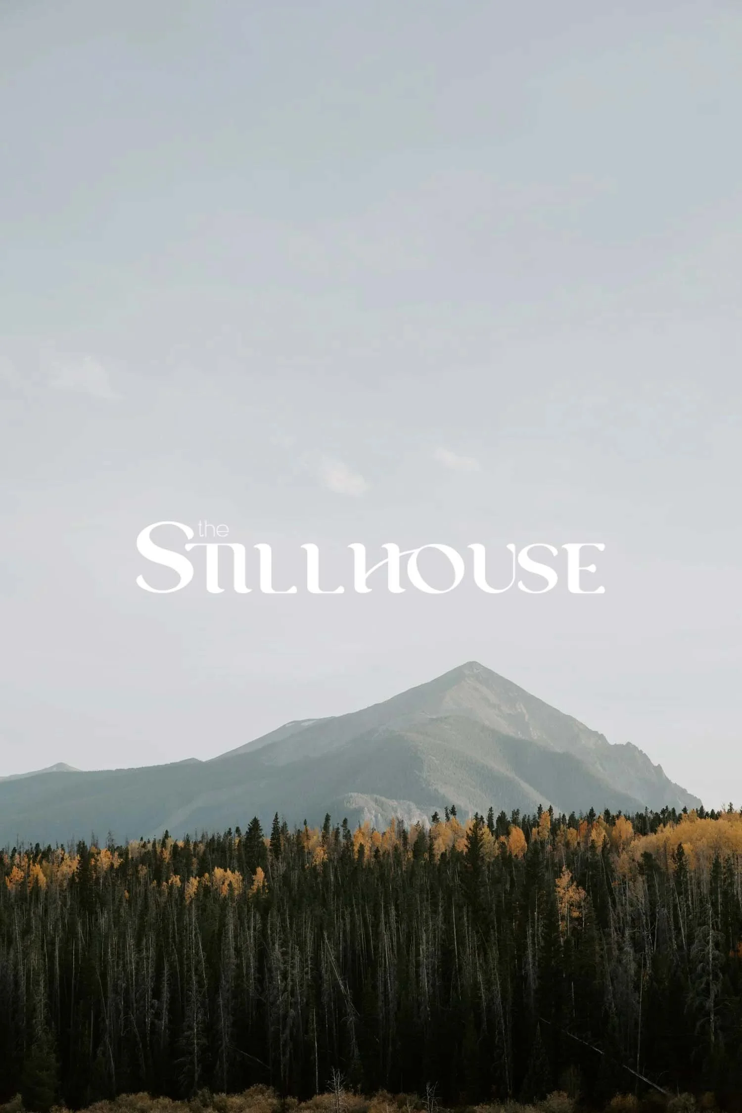 TheStillhouse-25.jpg