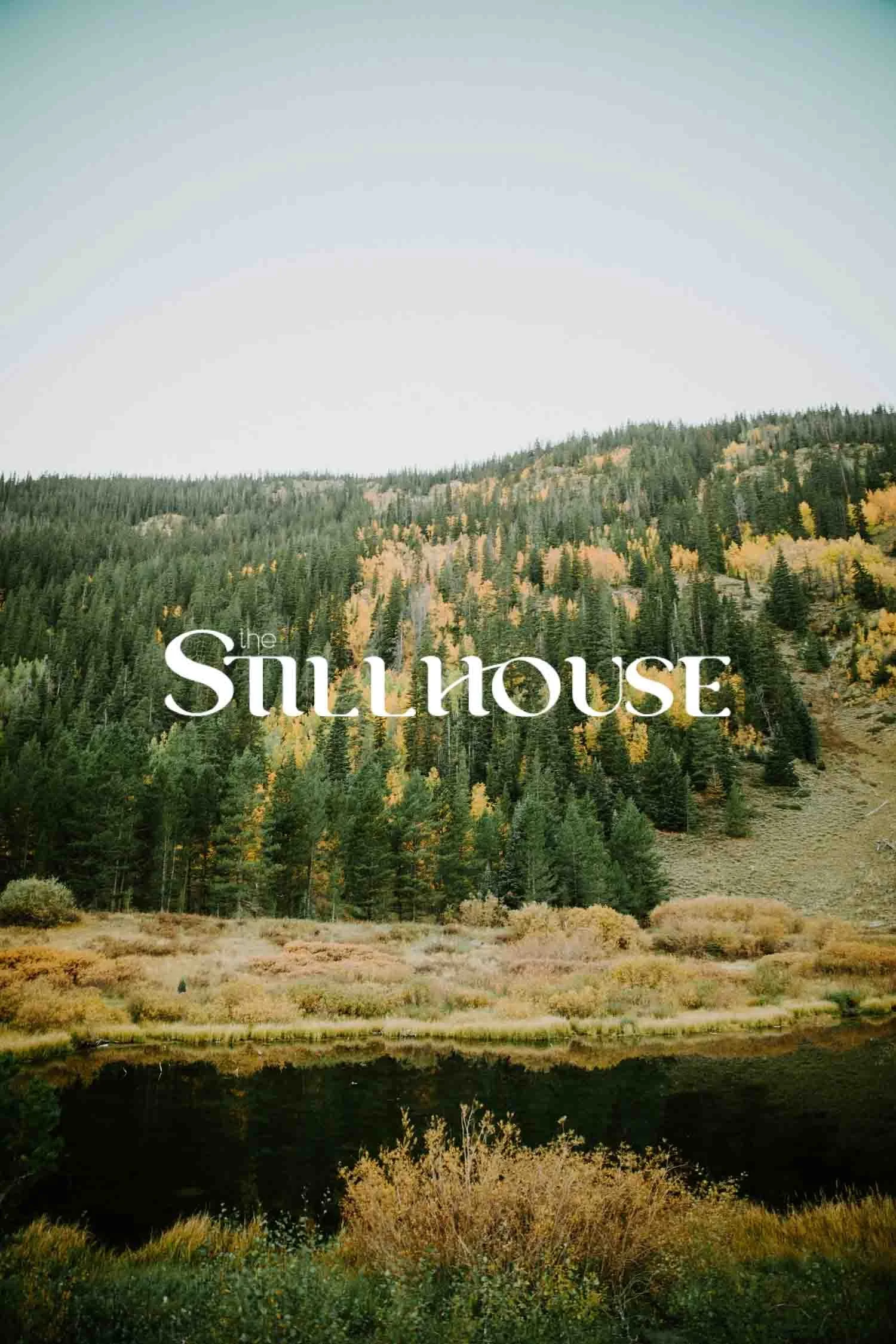 TheStillhouse-37.jpg