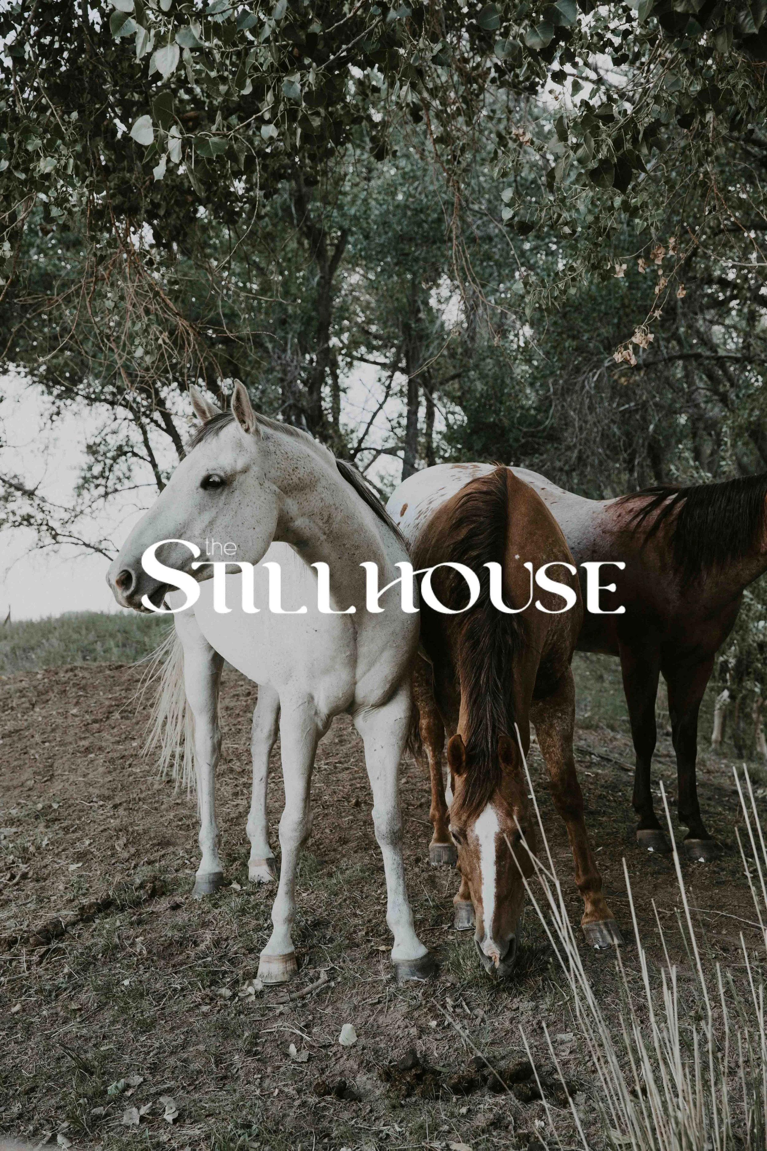 TheStillhouse-93.jpg