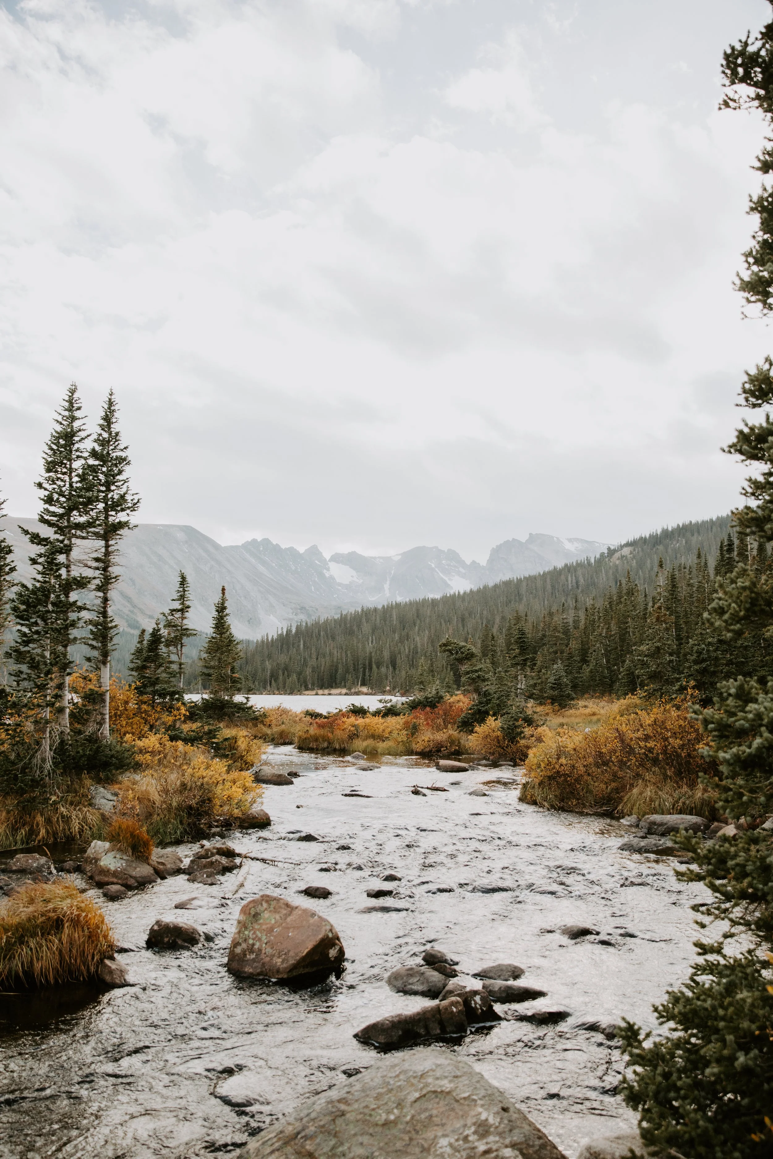 FALL.The.Stillhouse-9.jpg