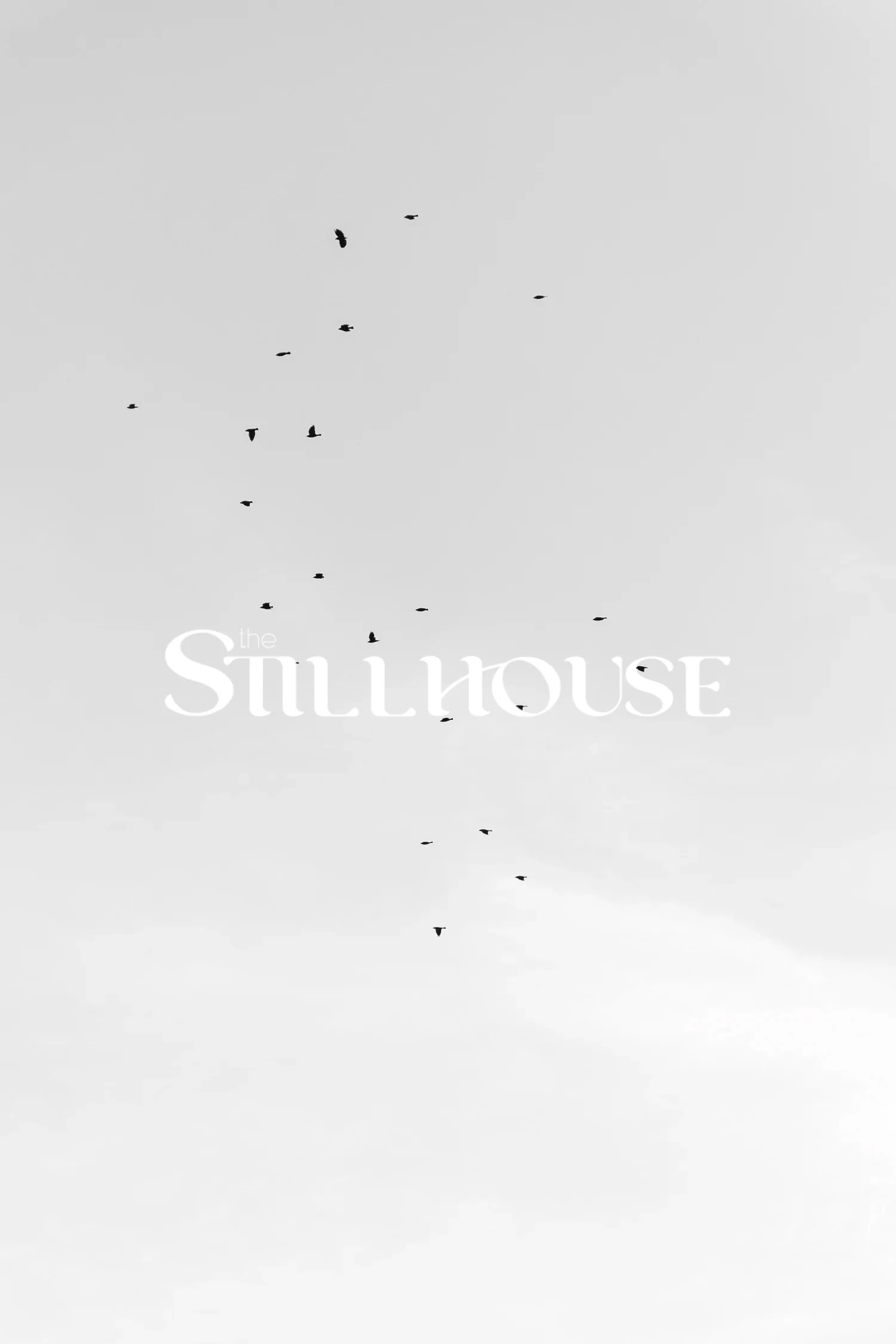 TheStillhouse-13.jpg