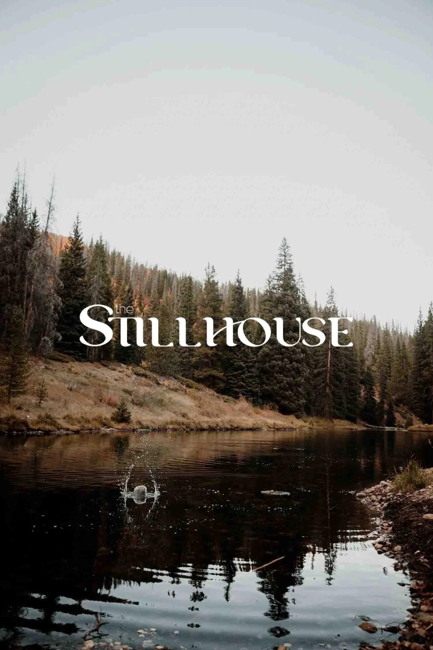 TheStillhouse-34.jpg