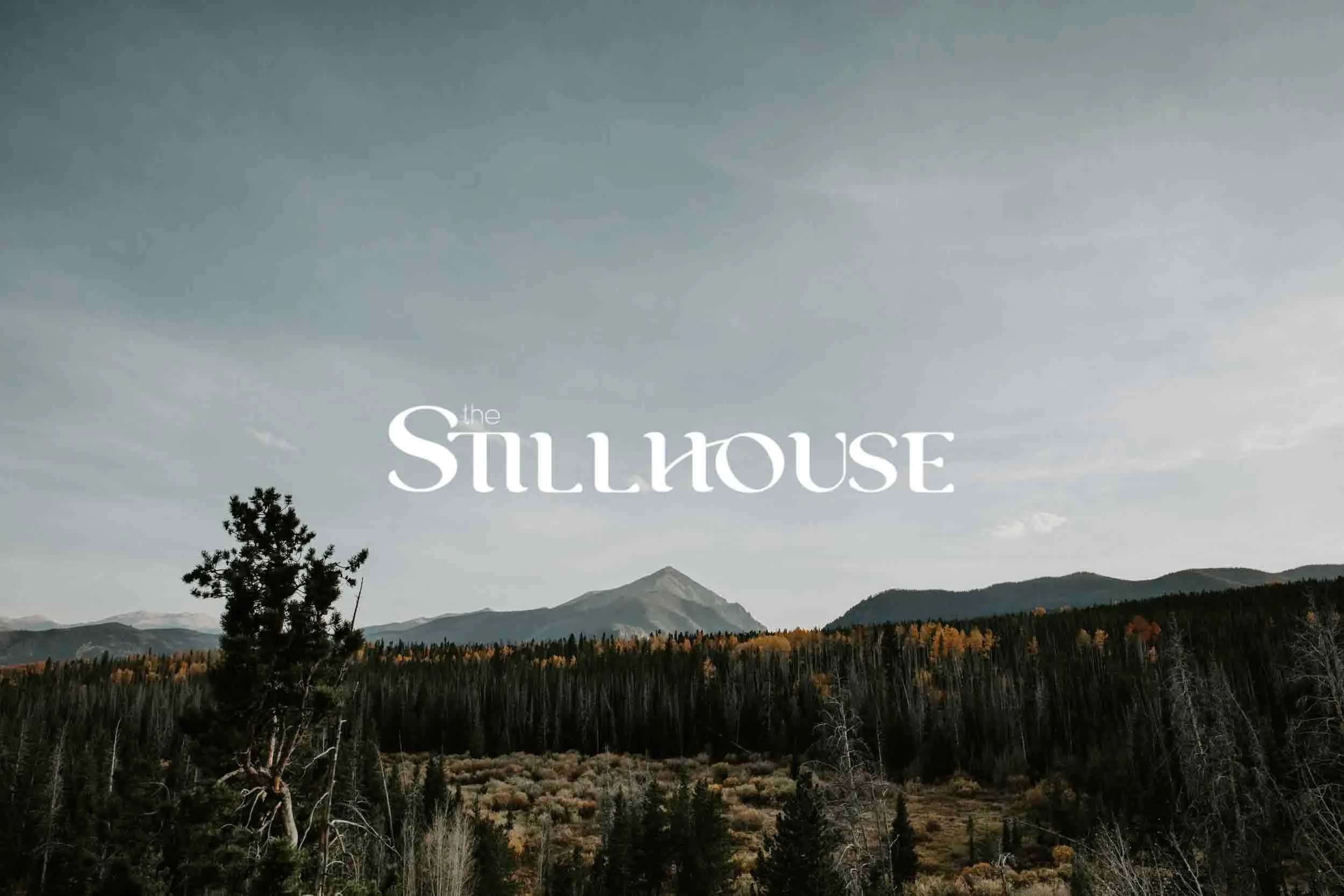 TheStillhouse-24.jpg