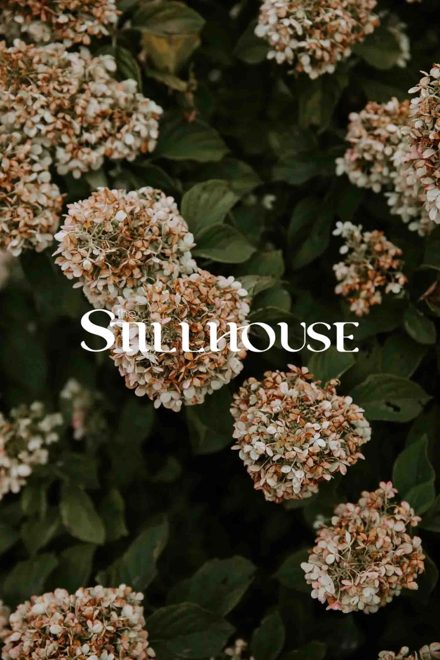 TheStillhouse-5.jpg