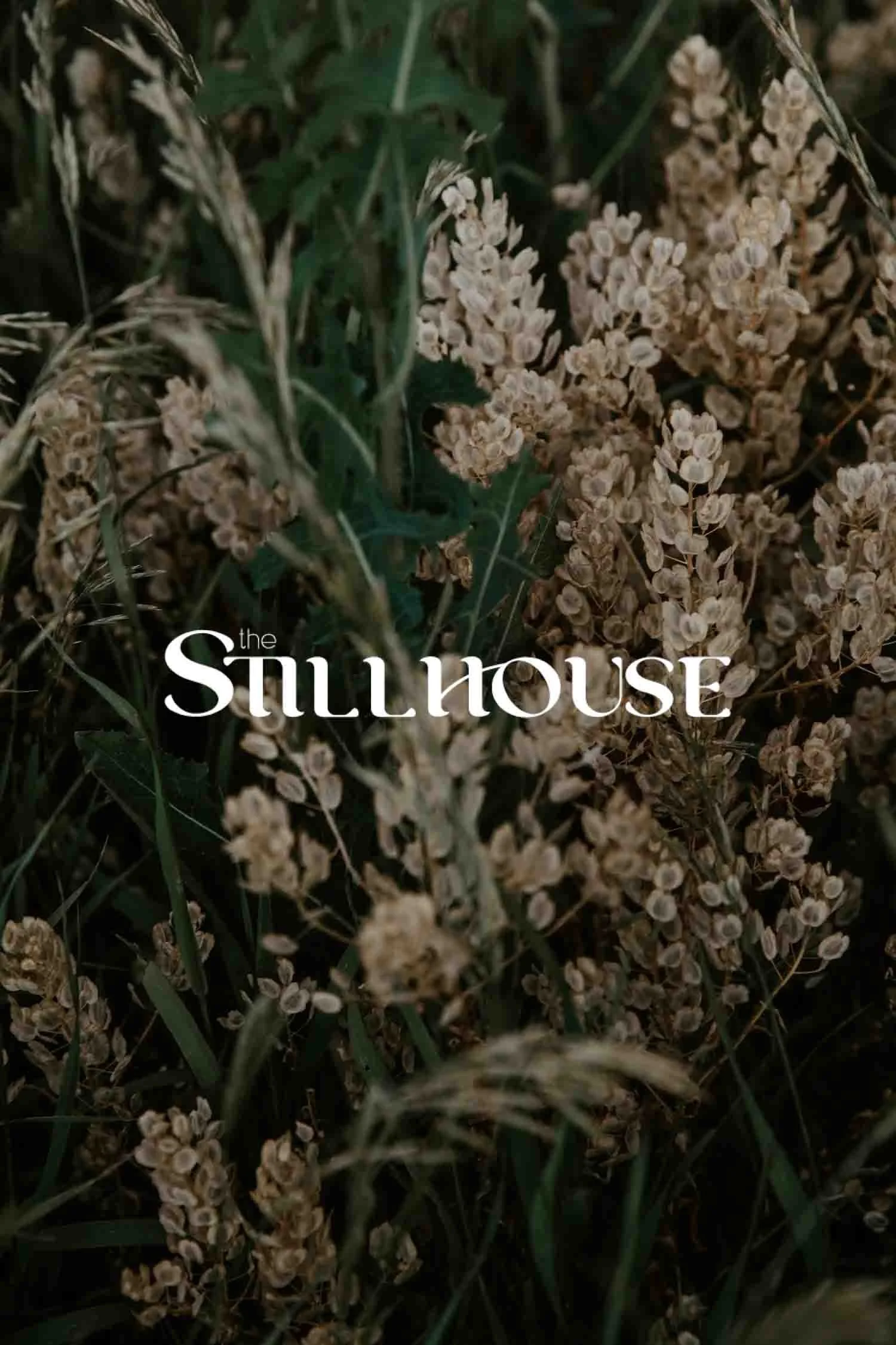 TheStillhouse-32.jpg