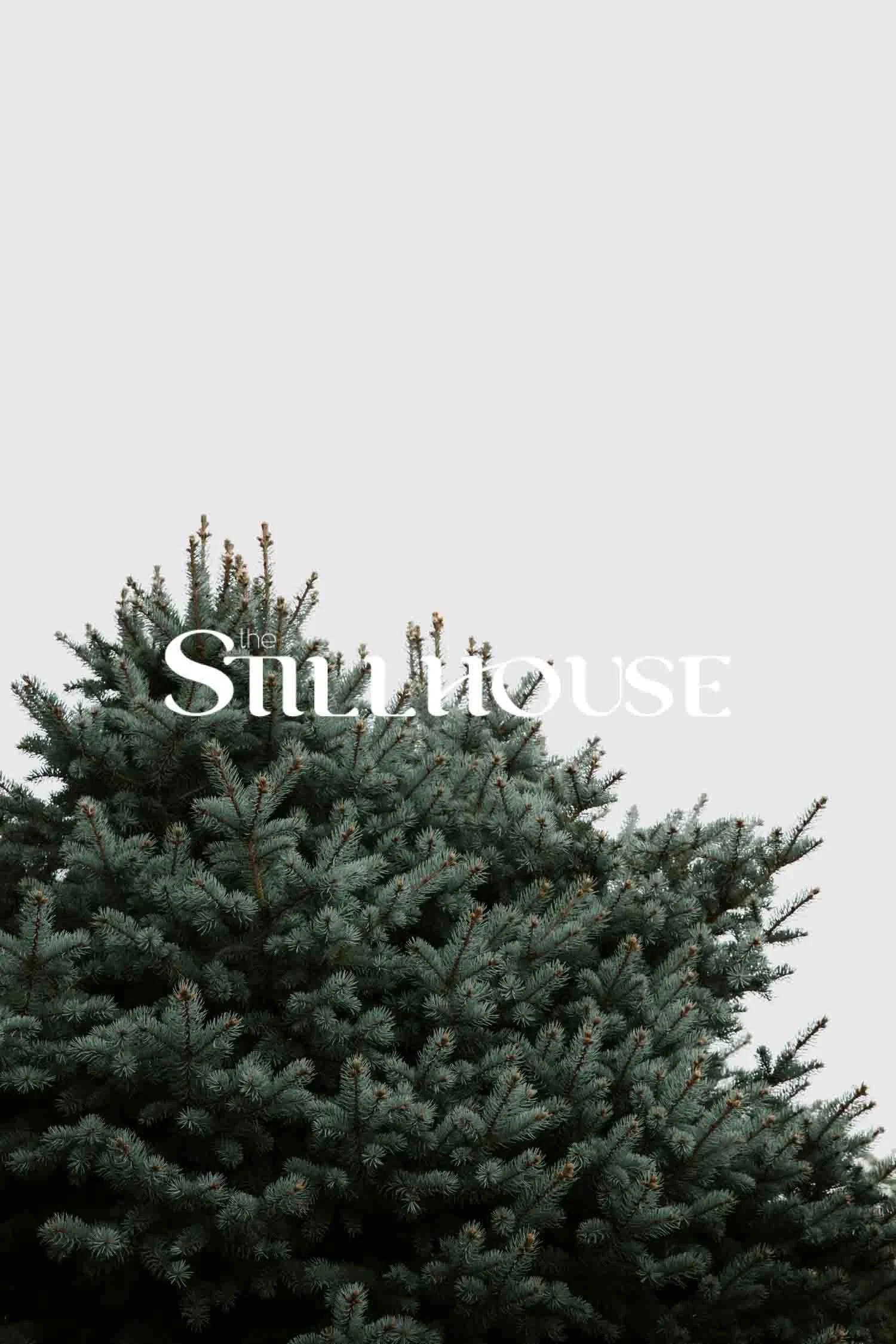 TheStillhouse-65.jpg