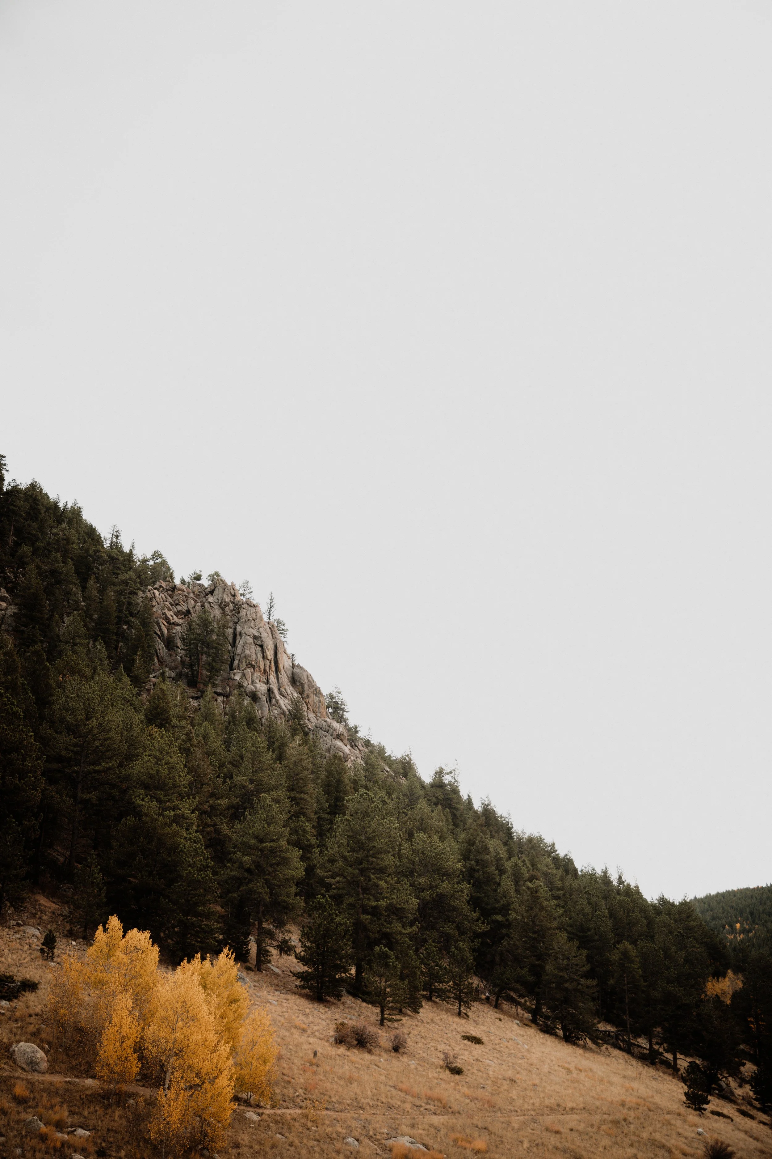 FALL.The.Stillhouse-17.jpg