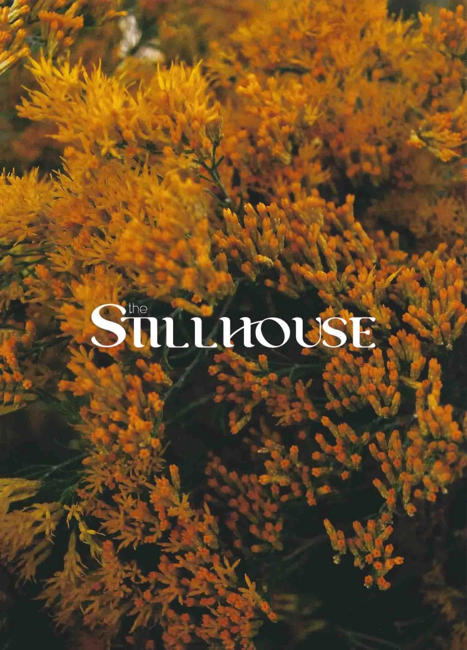 TheStillhouse-36.jpg