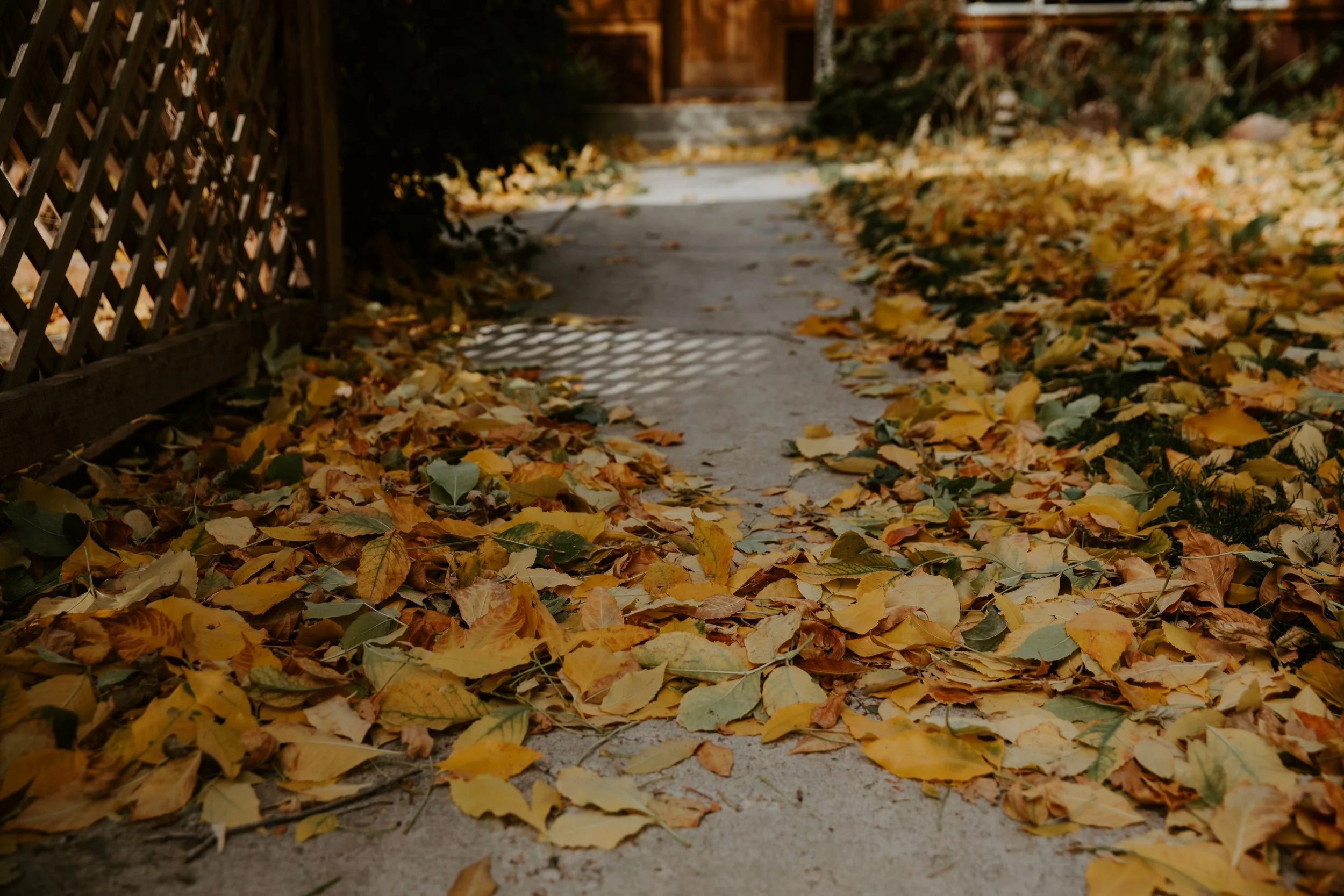 FALL.The.Stillhouse-8.jpg
