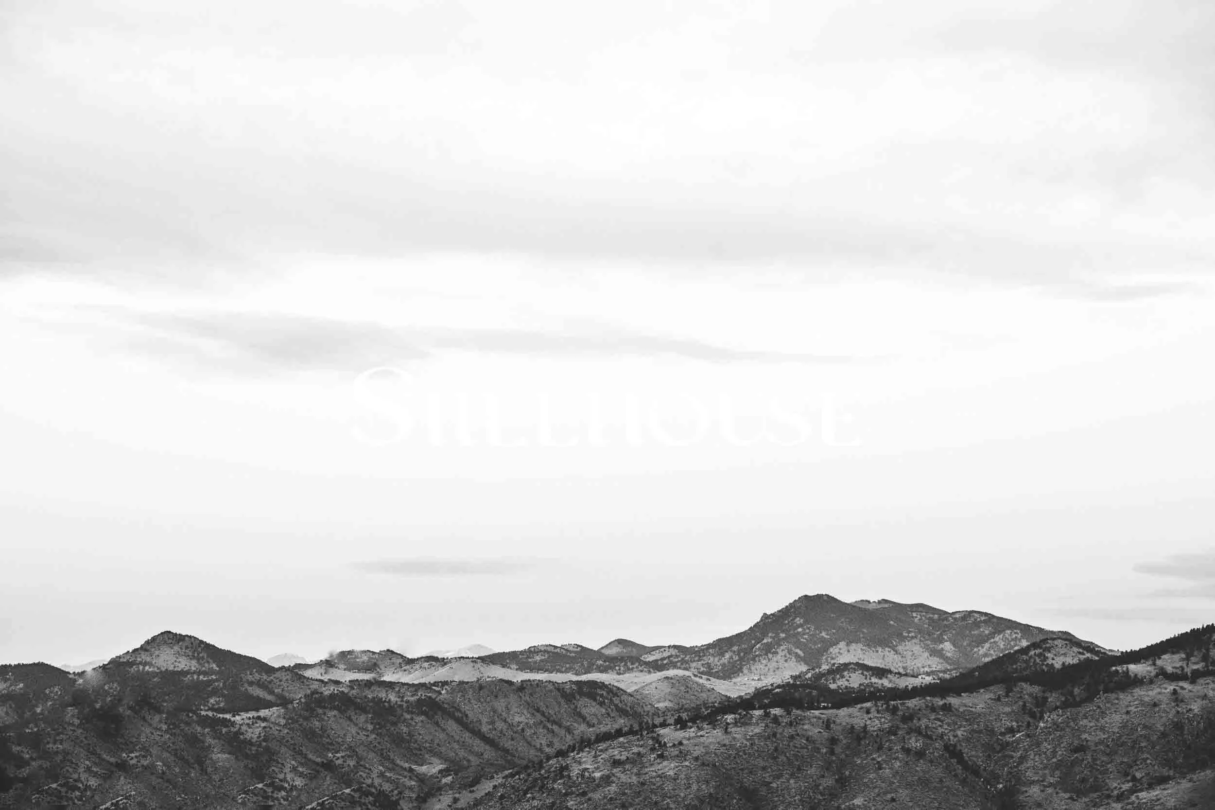 TheStillhouse-17.jpg