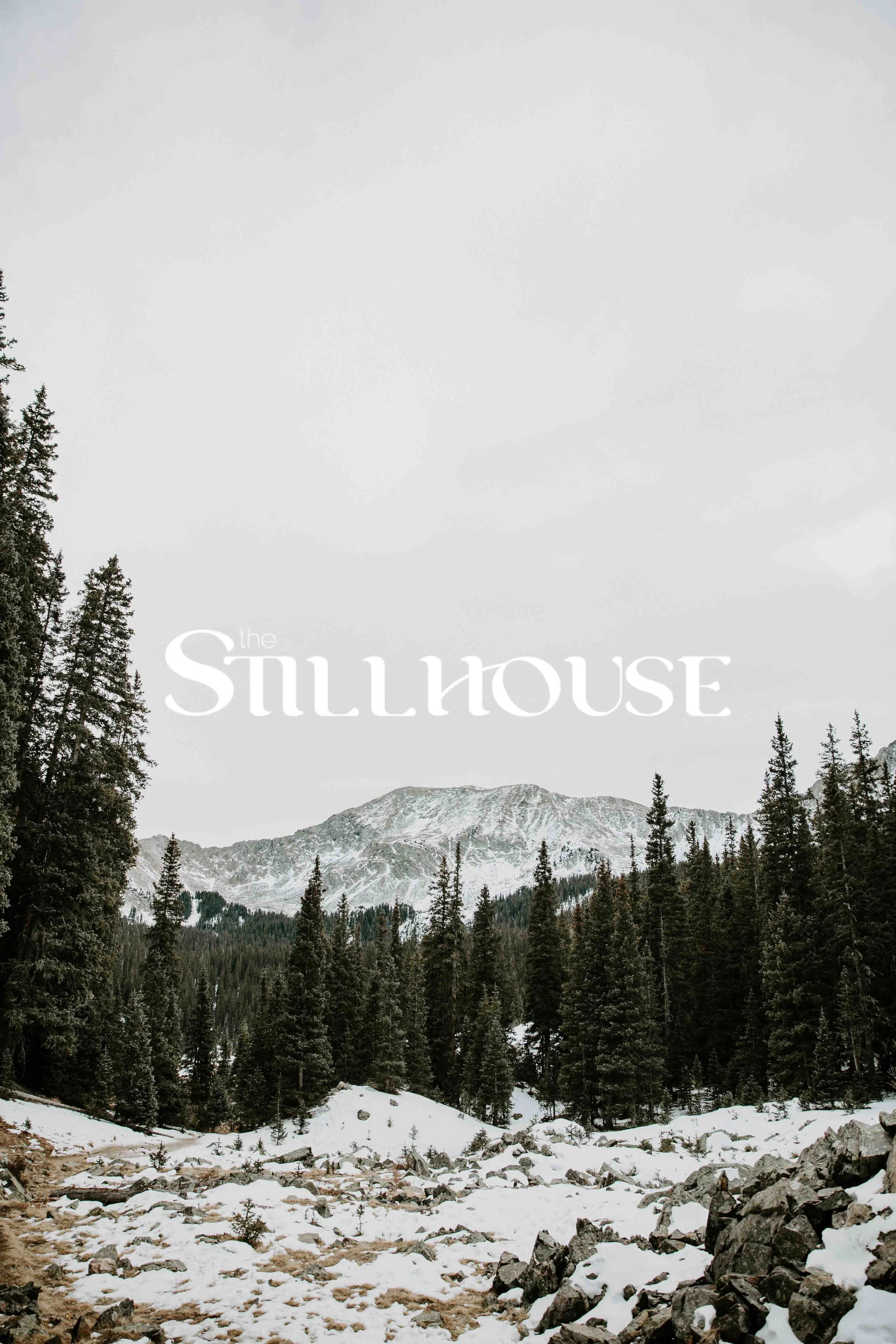 TheStillhouse-103.jpg