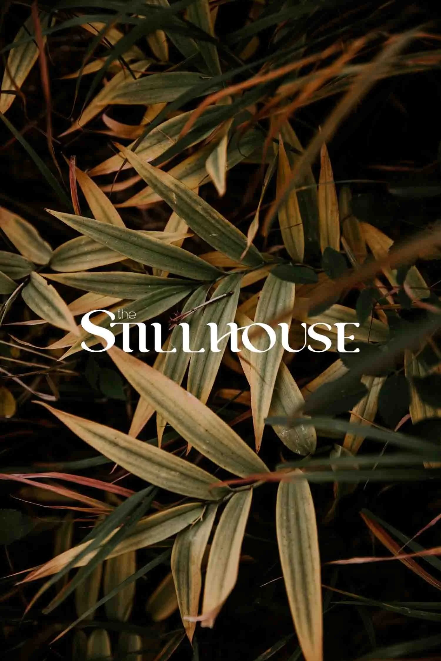 TheStillhouse-59.jpg