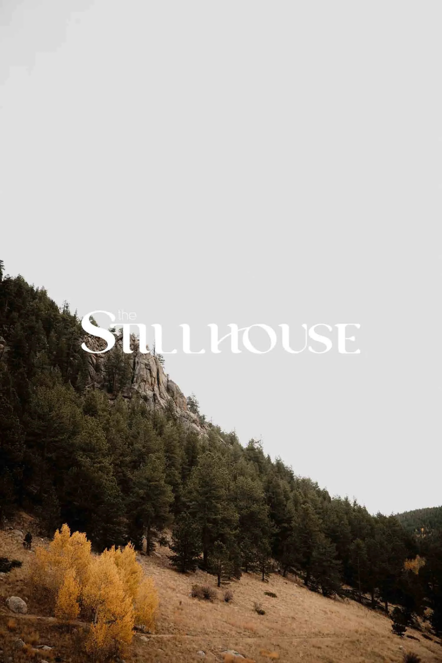 TheStillhouse-38.jpg
