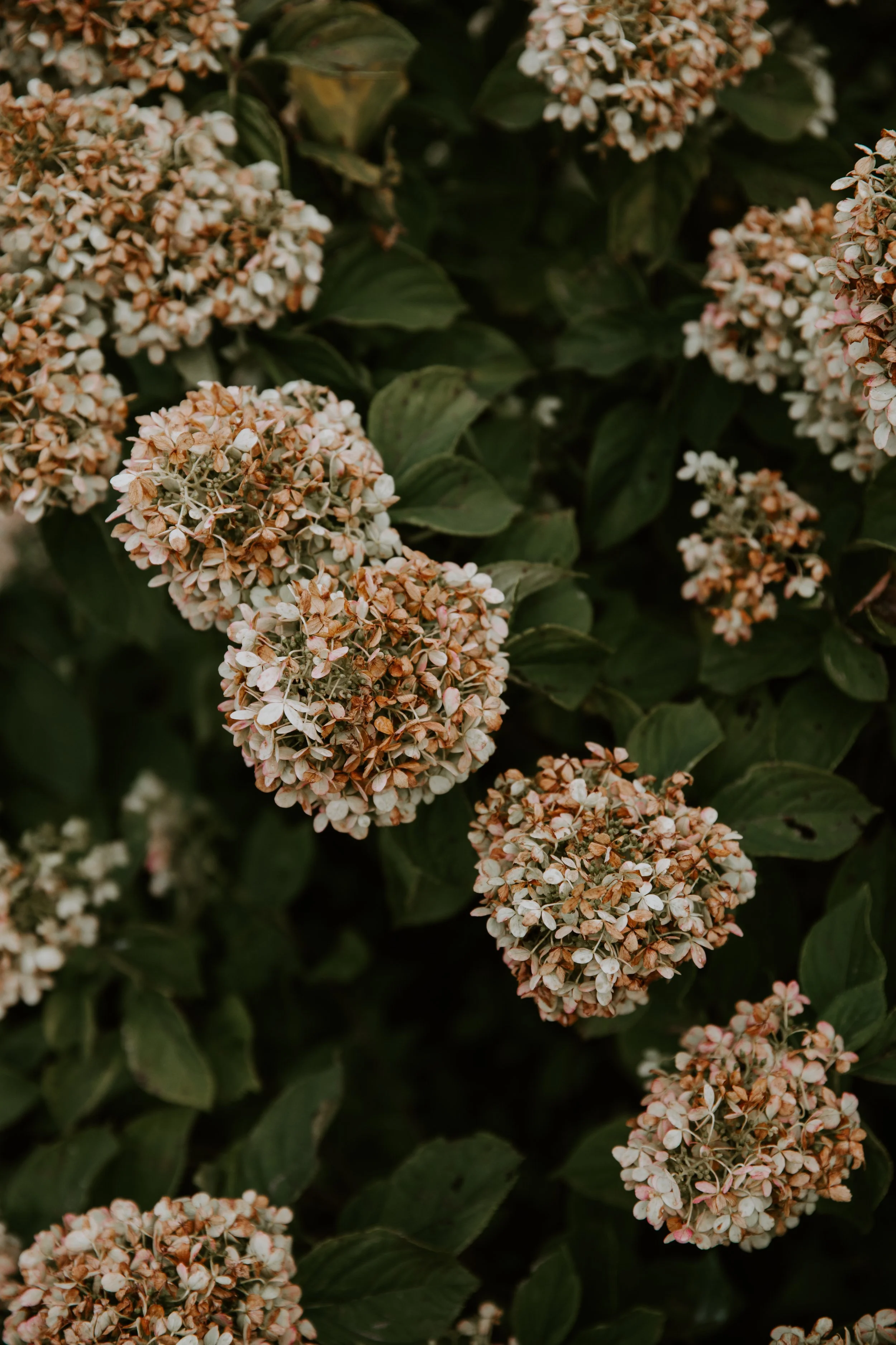 GoldenHours.TheStillhouse-5.jpg