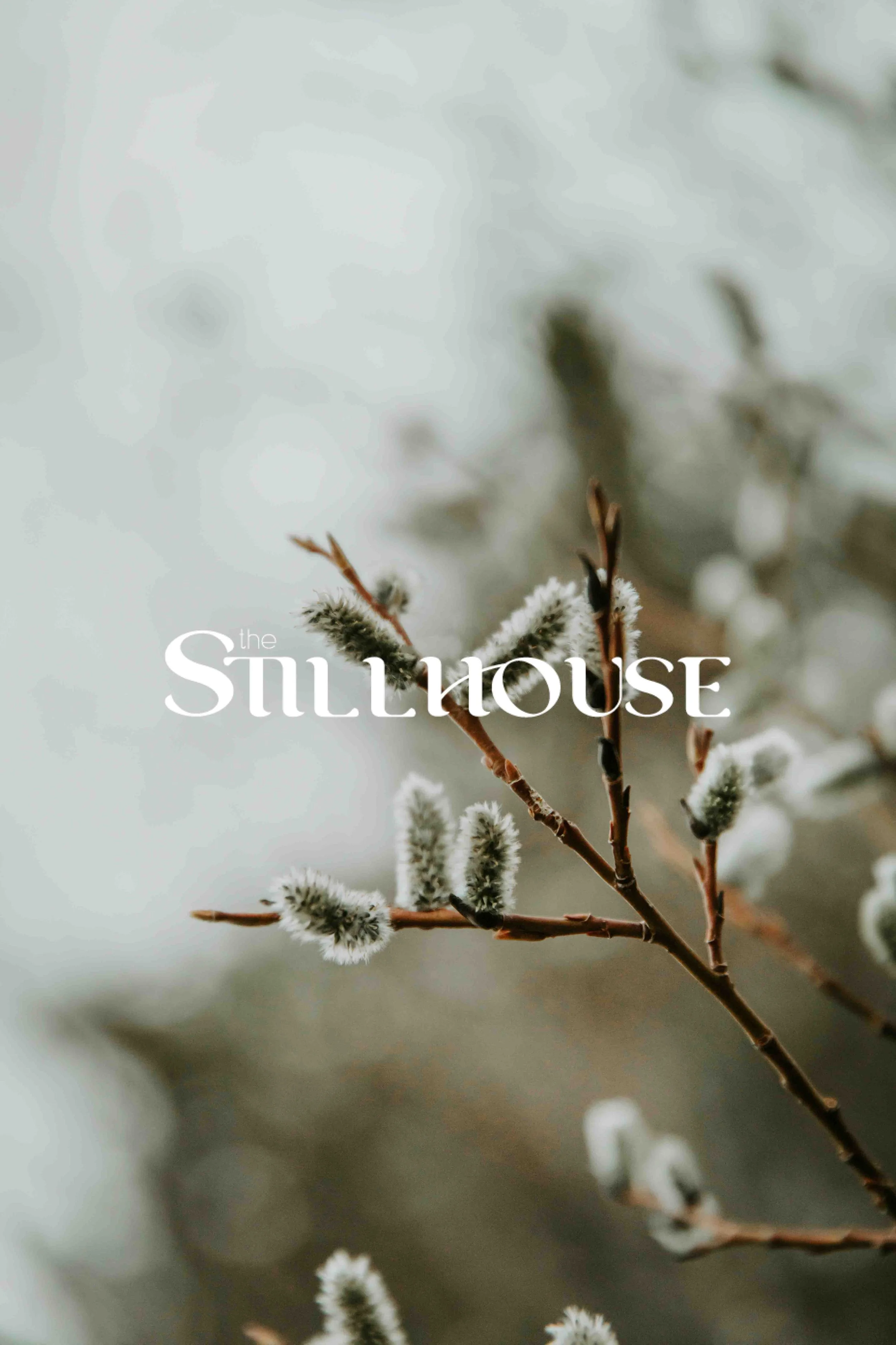 TheStillhouse-105.jpg
