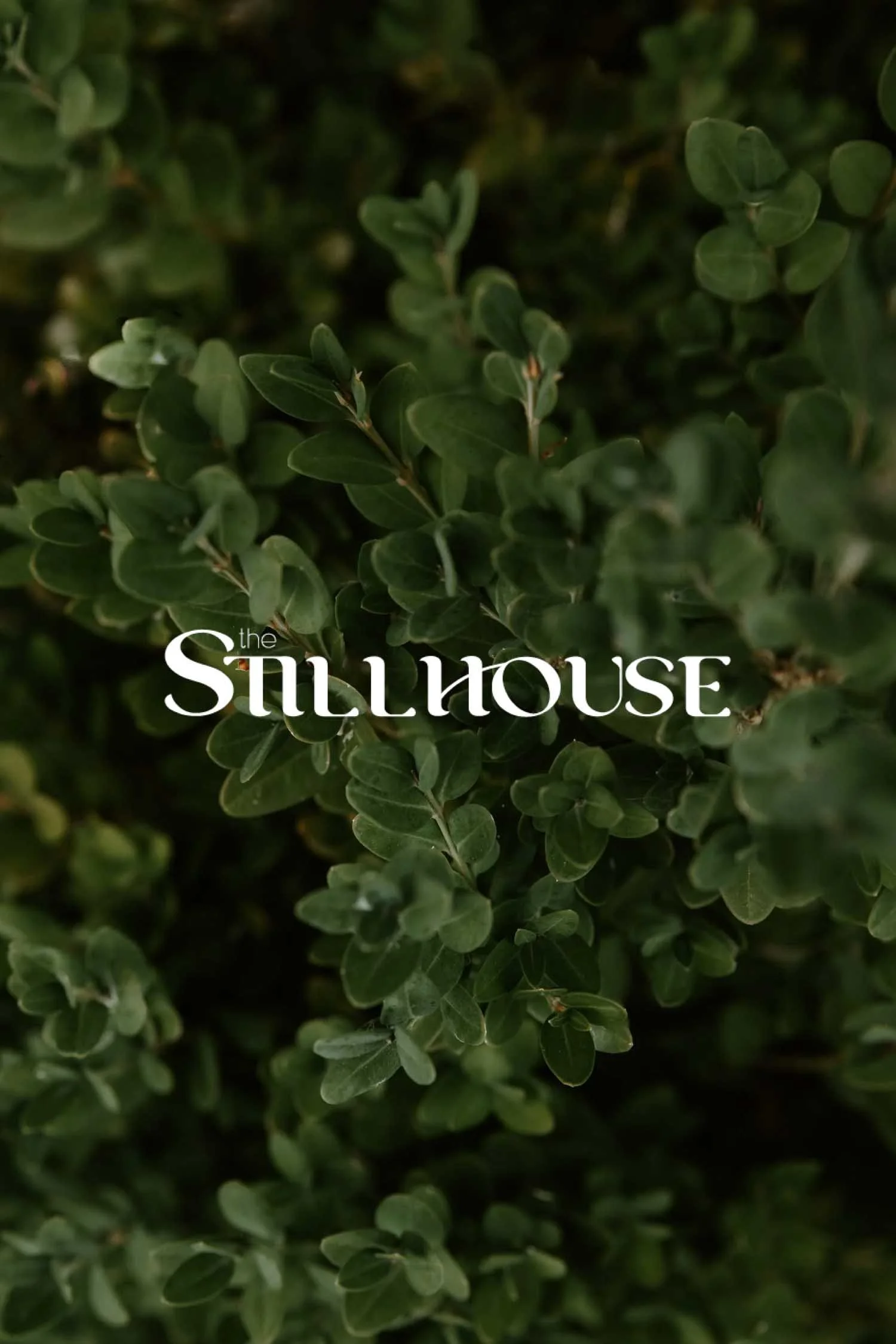 TheStillhouse-66.jpg