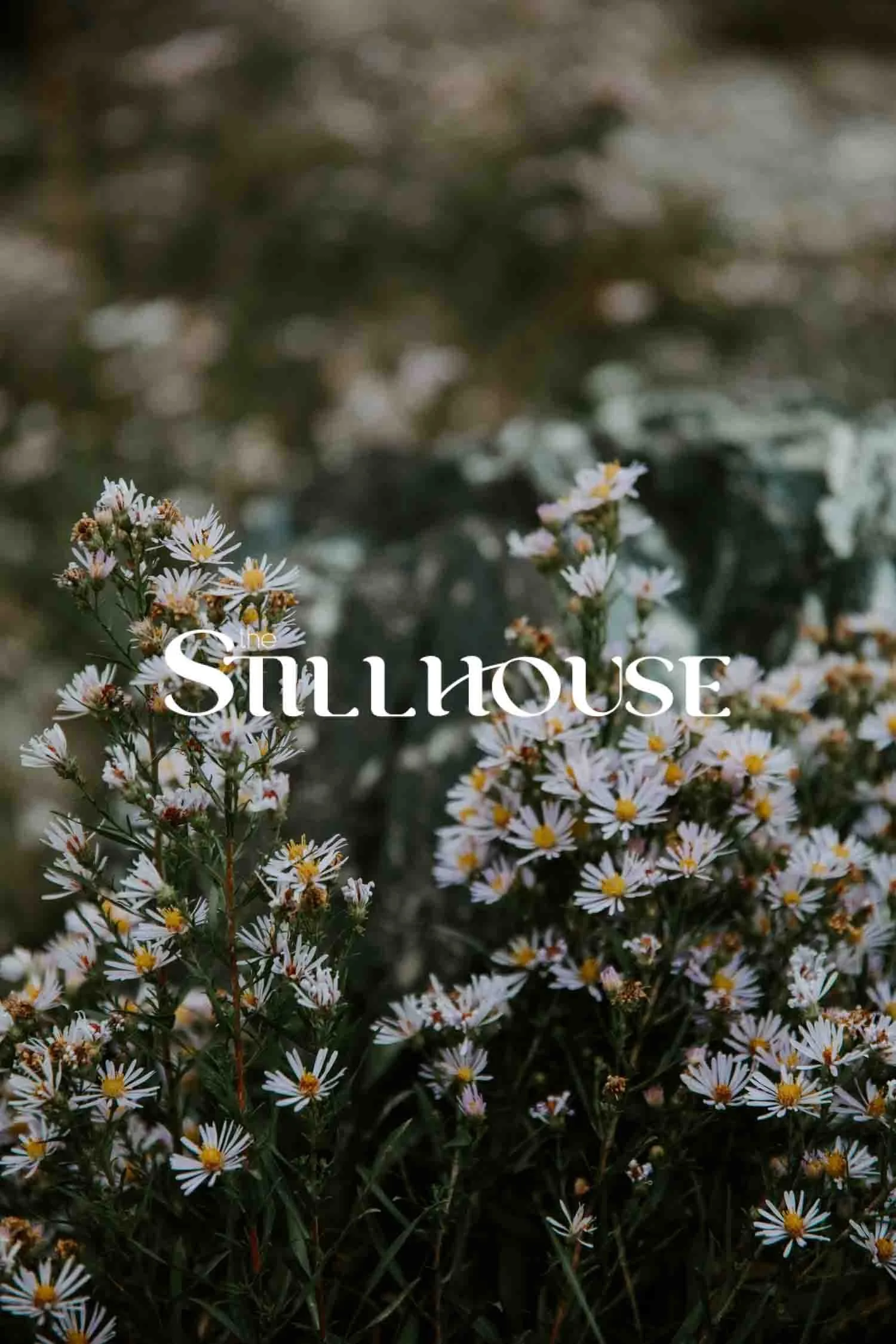 TheStillhouse-39.jpg