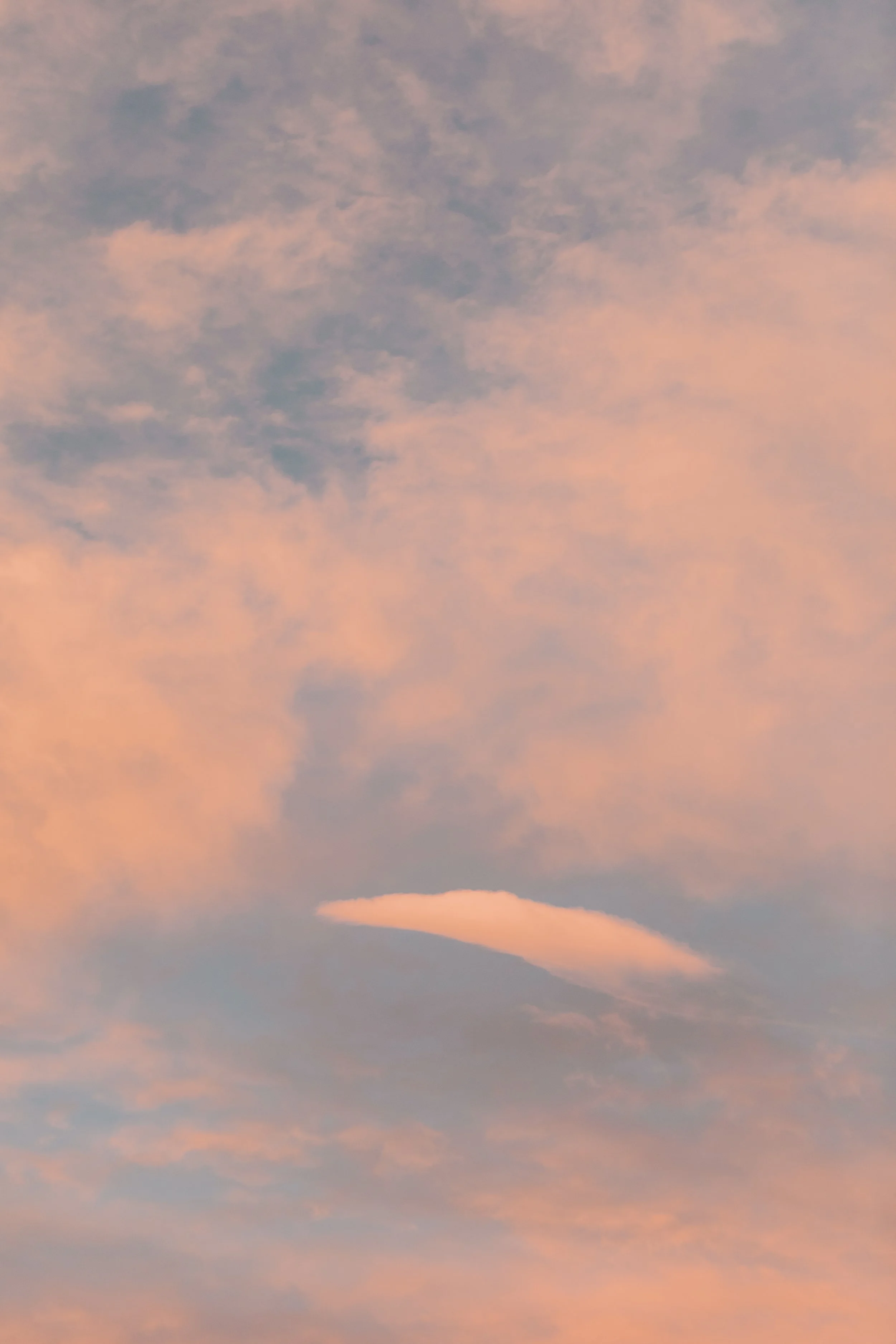 Sky.The.Stillhouse-1.jpg