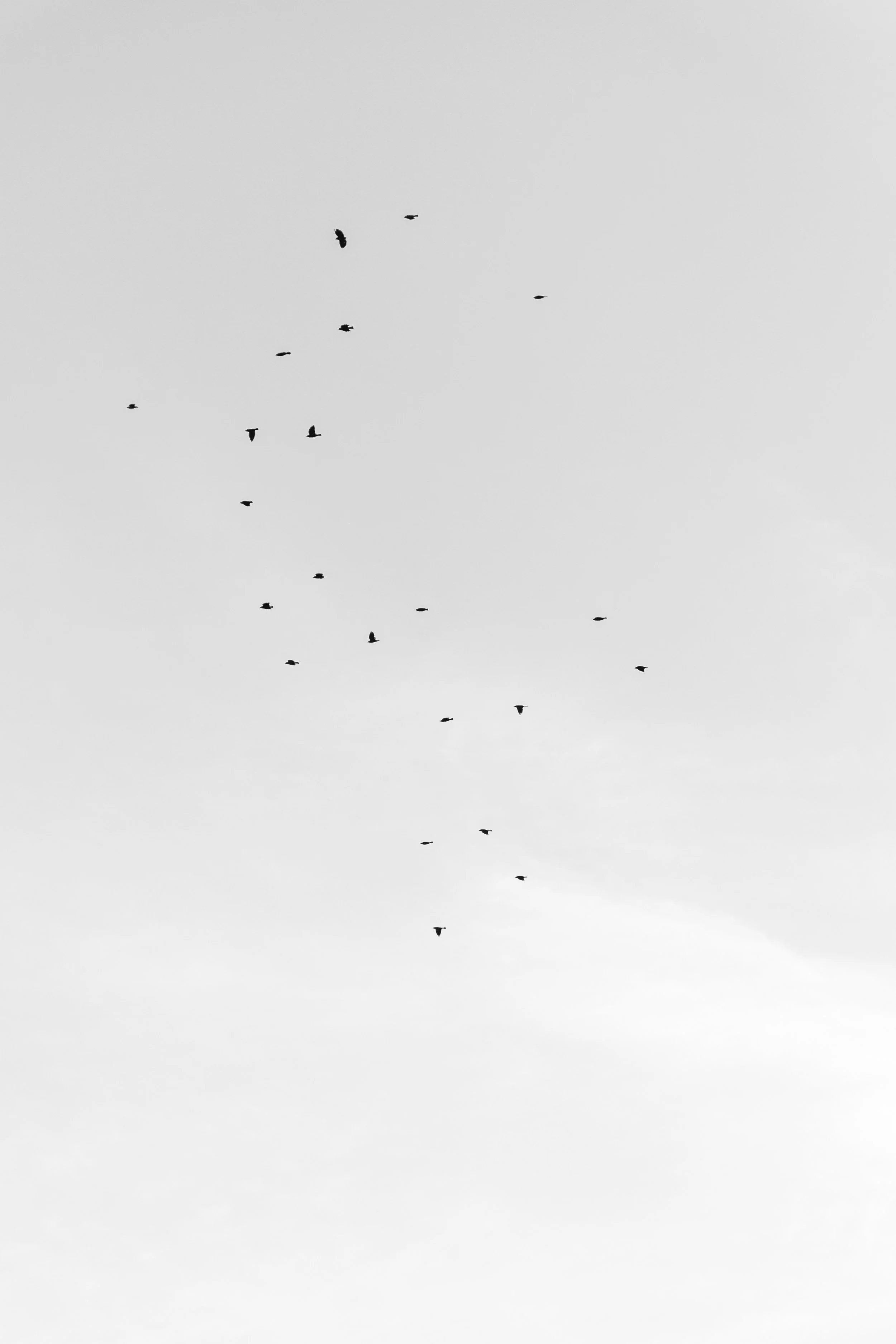 BLACKANDWHITE.The.Stillhouse-9.jpg