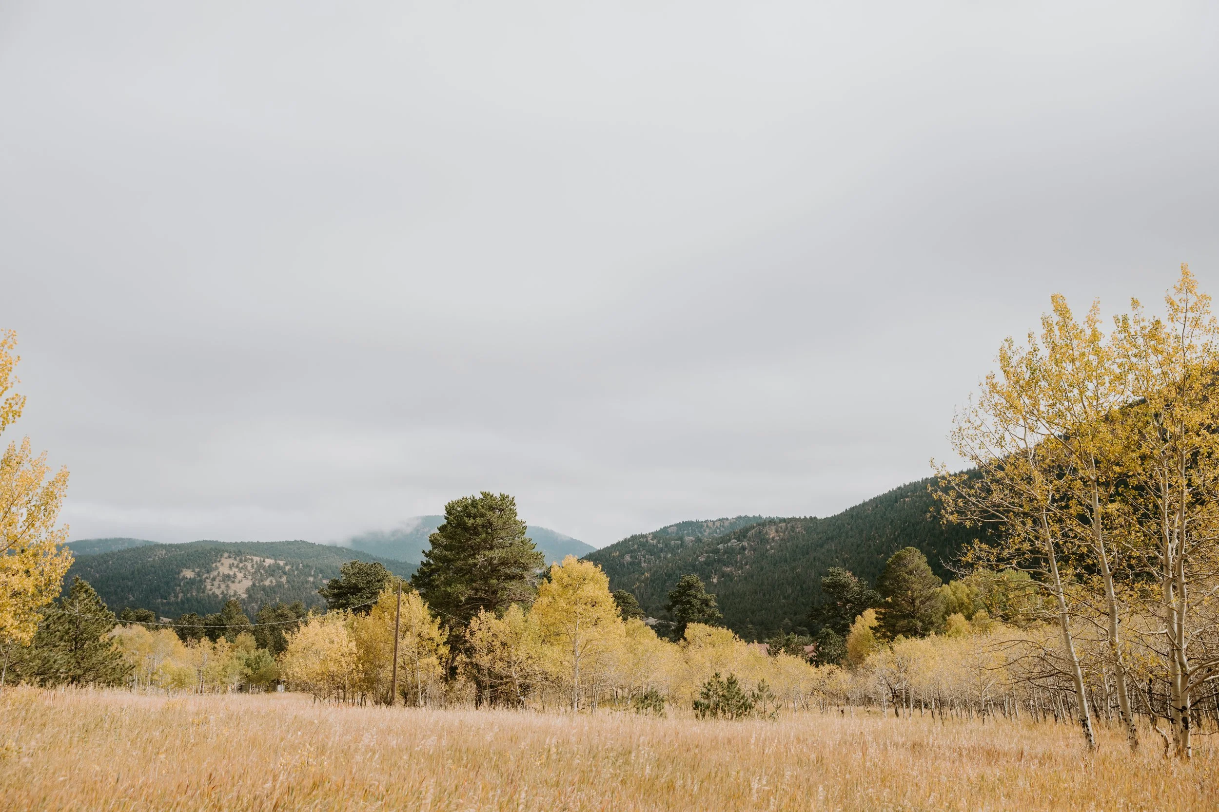 FALL.The.Stillhouse-10.jpg