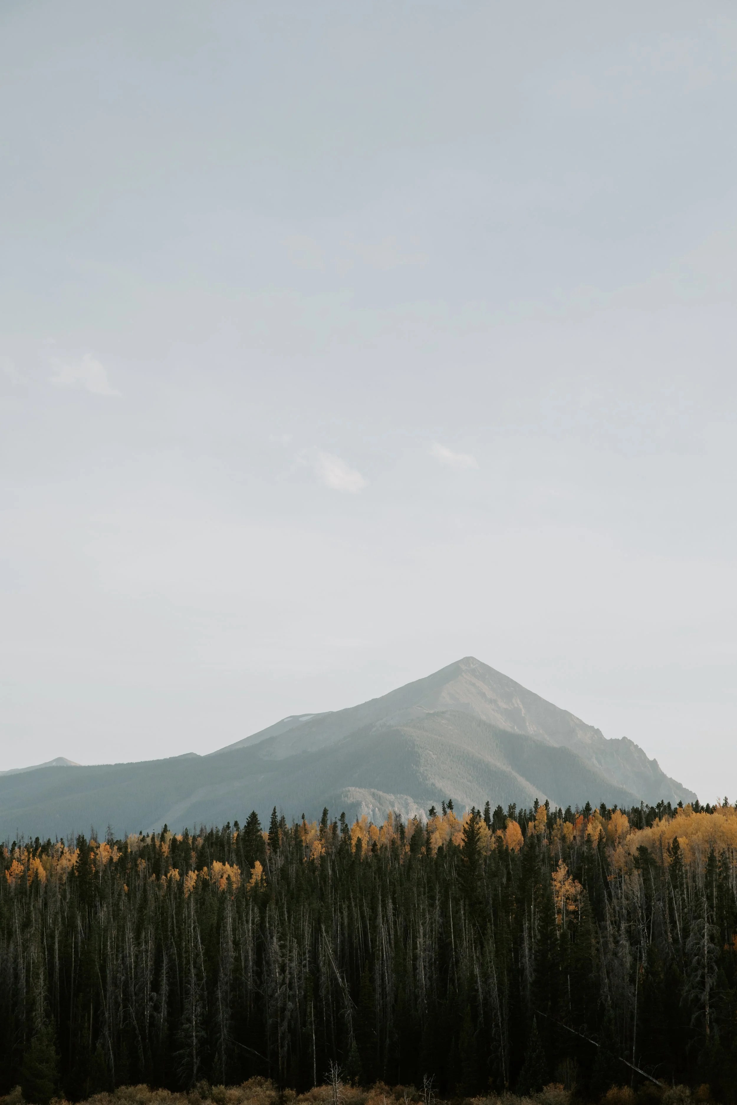 FALL.The.Stillhouse-5.jpg