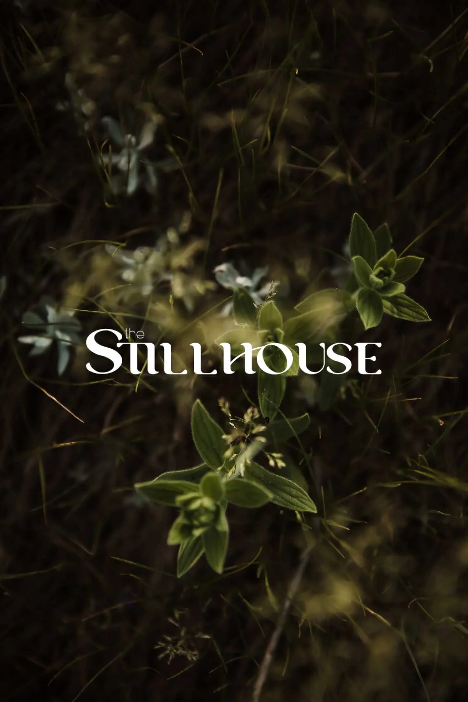 TheStillhouse-60.jpg