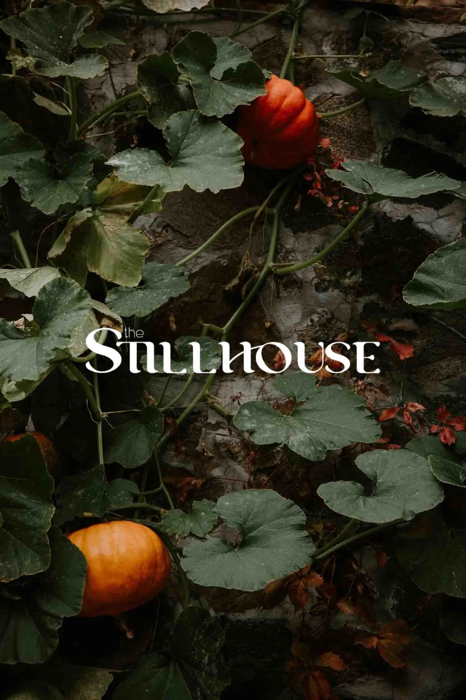 TheStillhouse-29.jpg