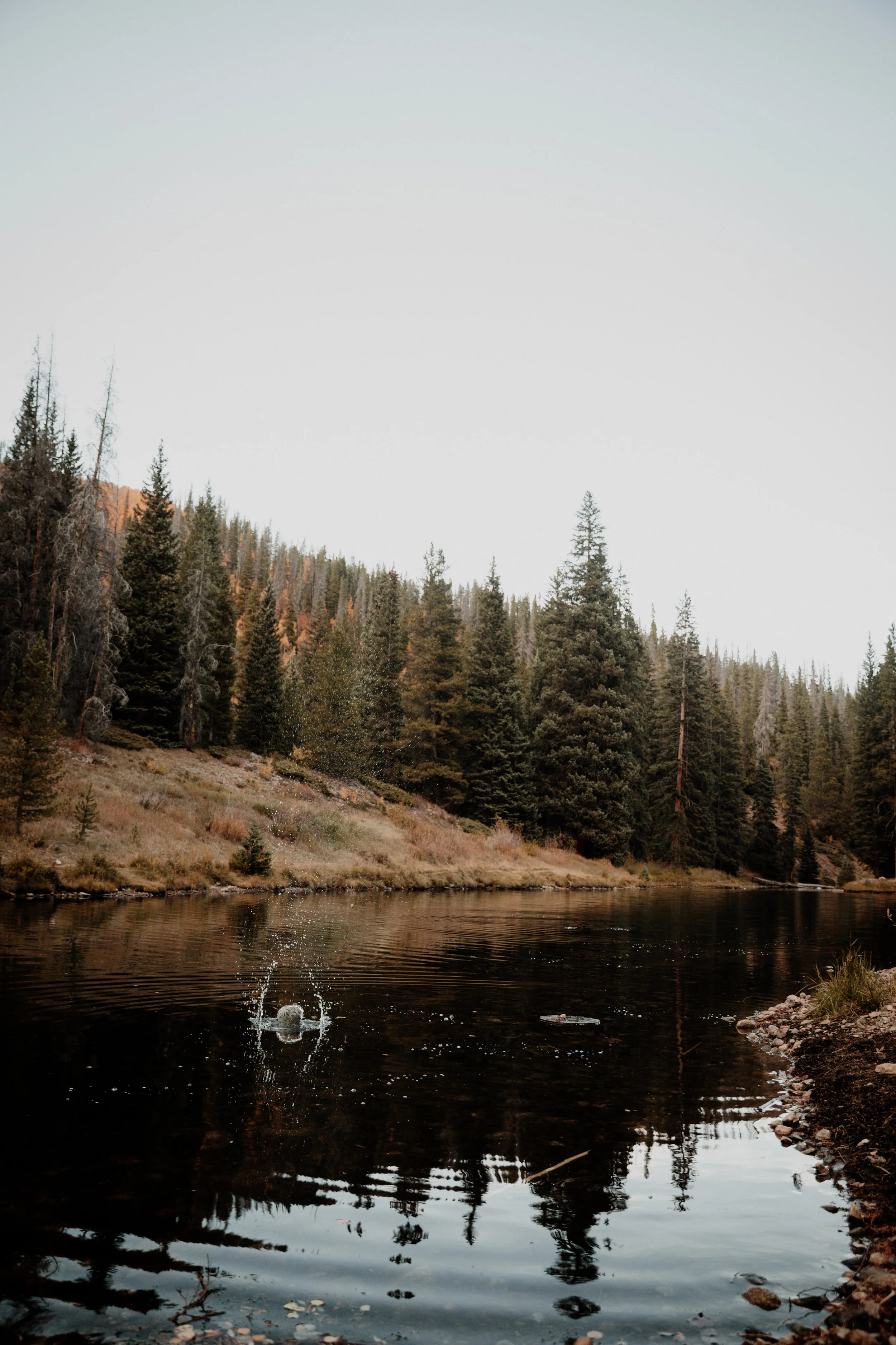FALL.The.Stillhouse-12.jpg