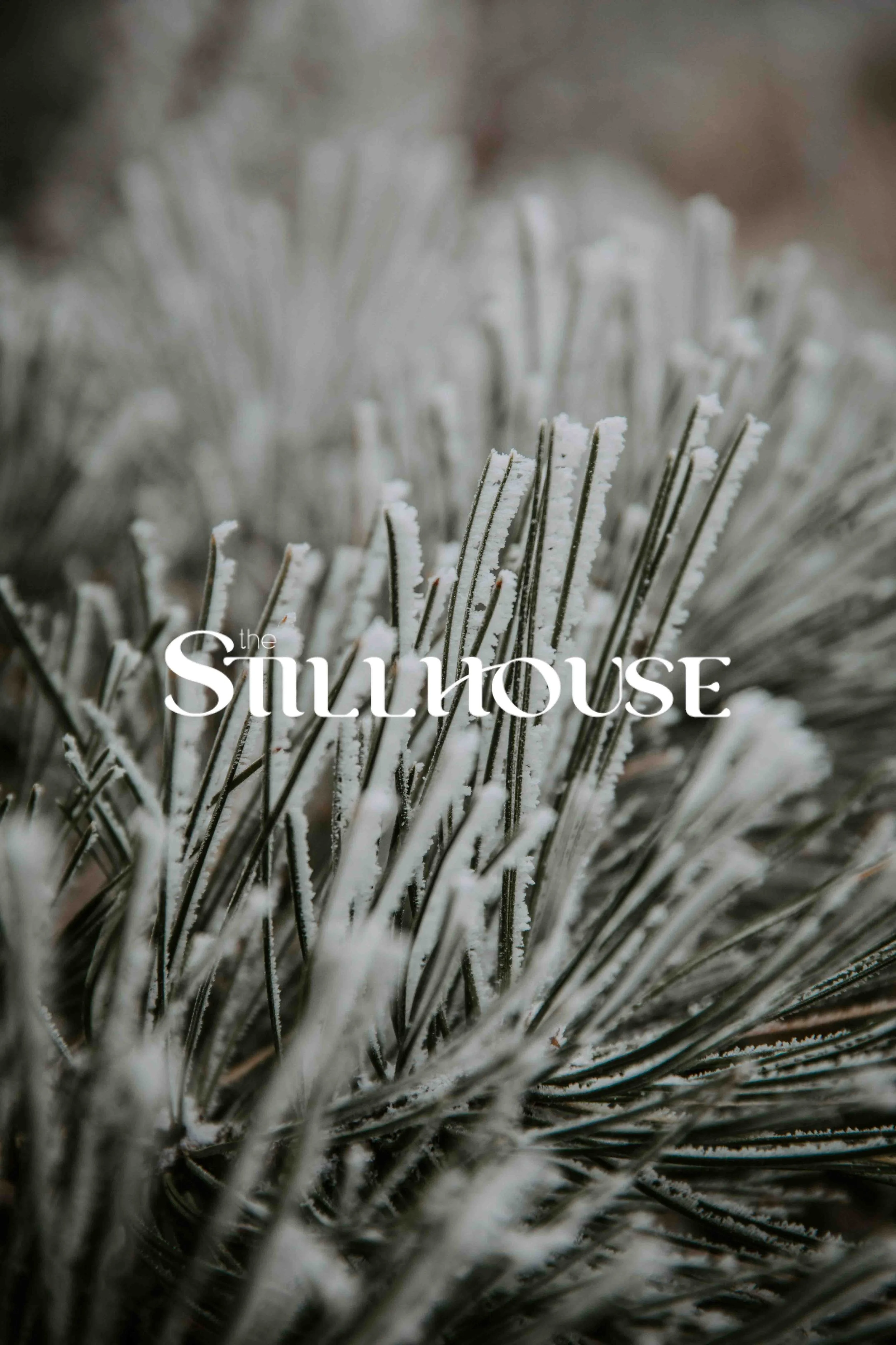 TheStillhouse-104.jpg