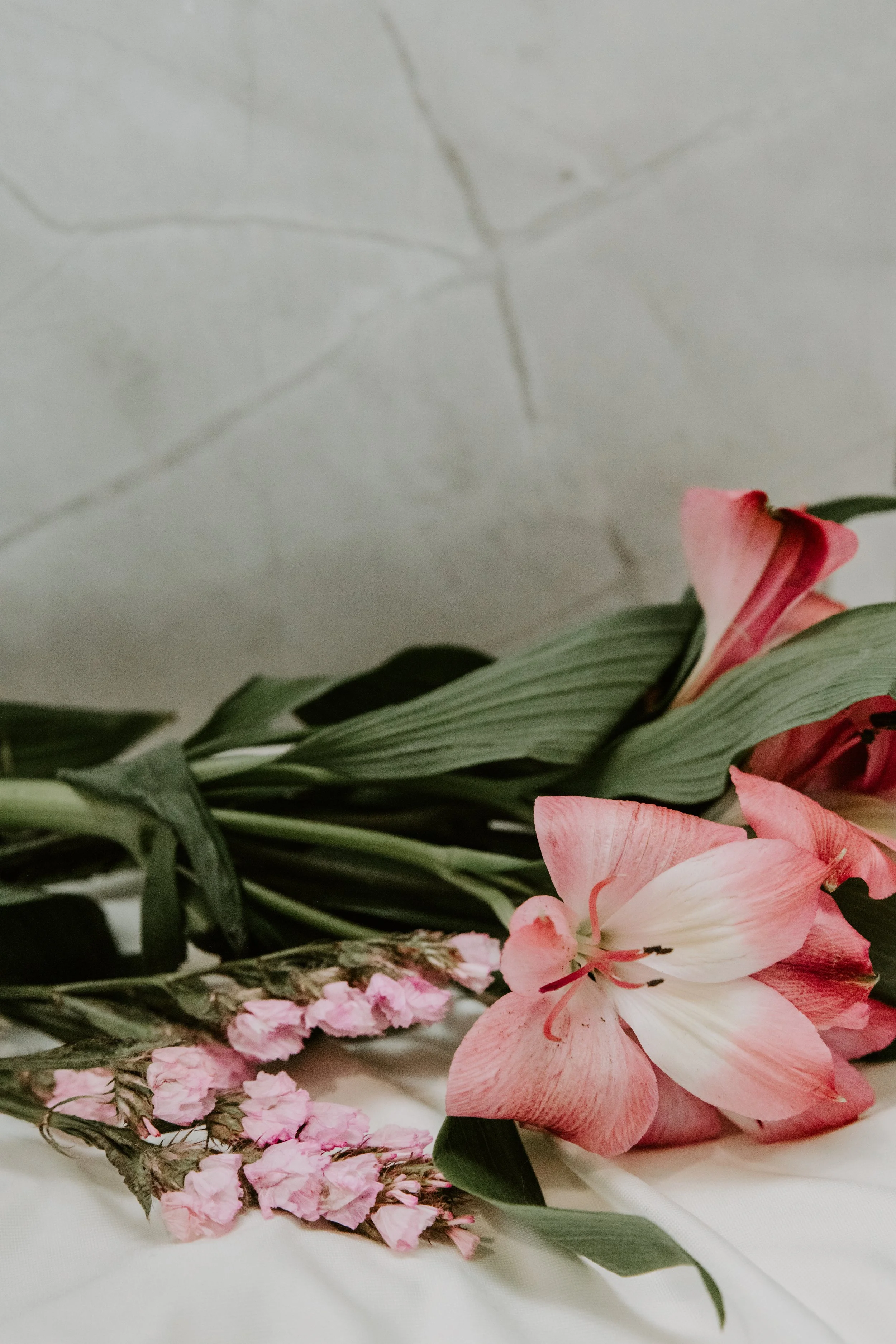 Dripping with Pink II